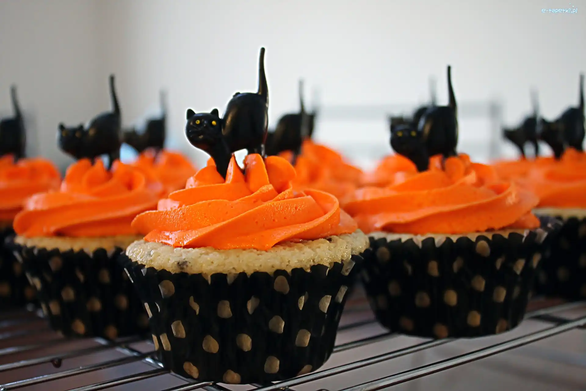 Halloweenowe, Koty, Czarne, Babeczki