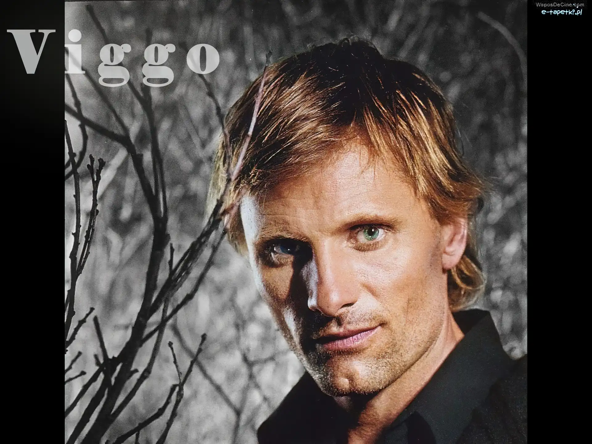 niebieskie oczy, Viggo Mortensen
