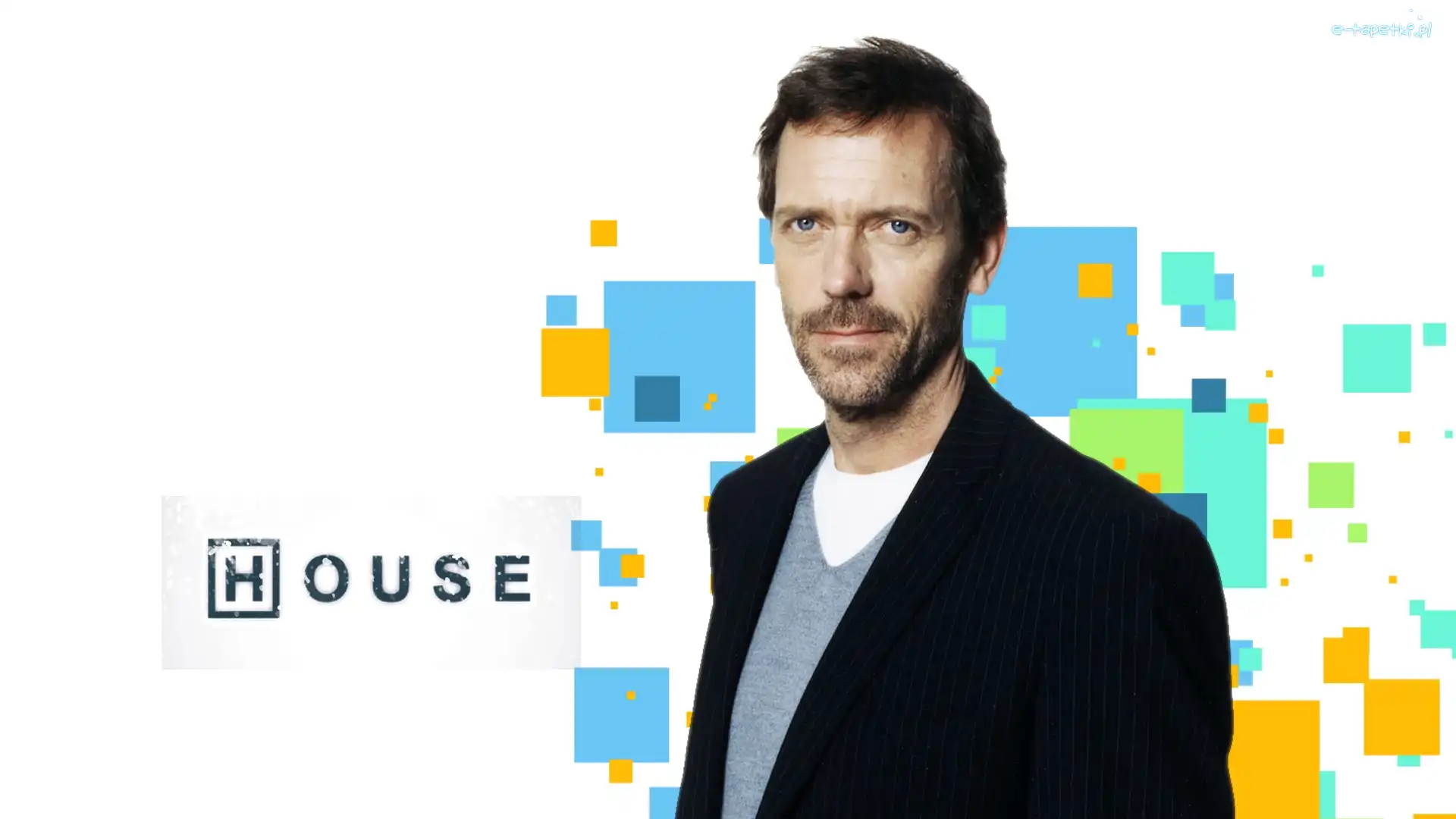 Hugh Laurie, Serial, Dr House