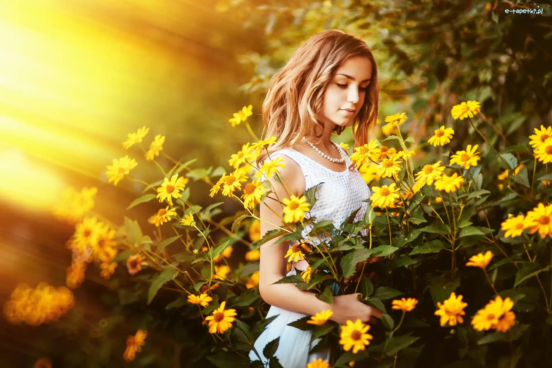 Promienie, Kwiaty, Rudbekia, Słońca, Żółte, Kobieta