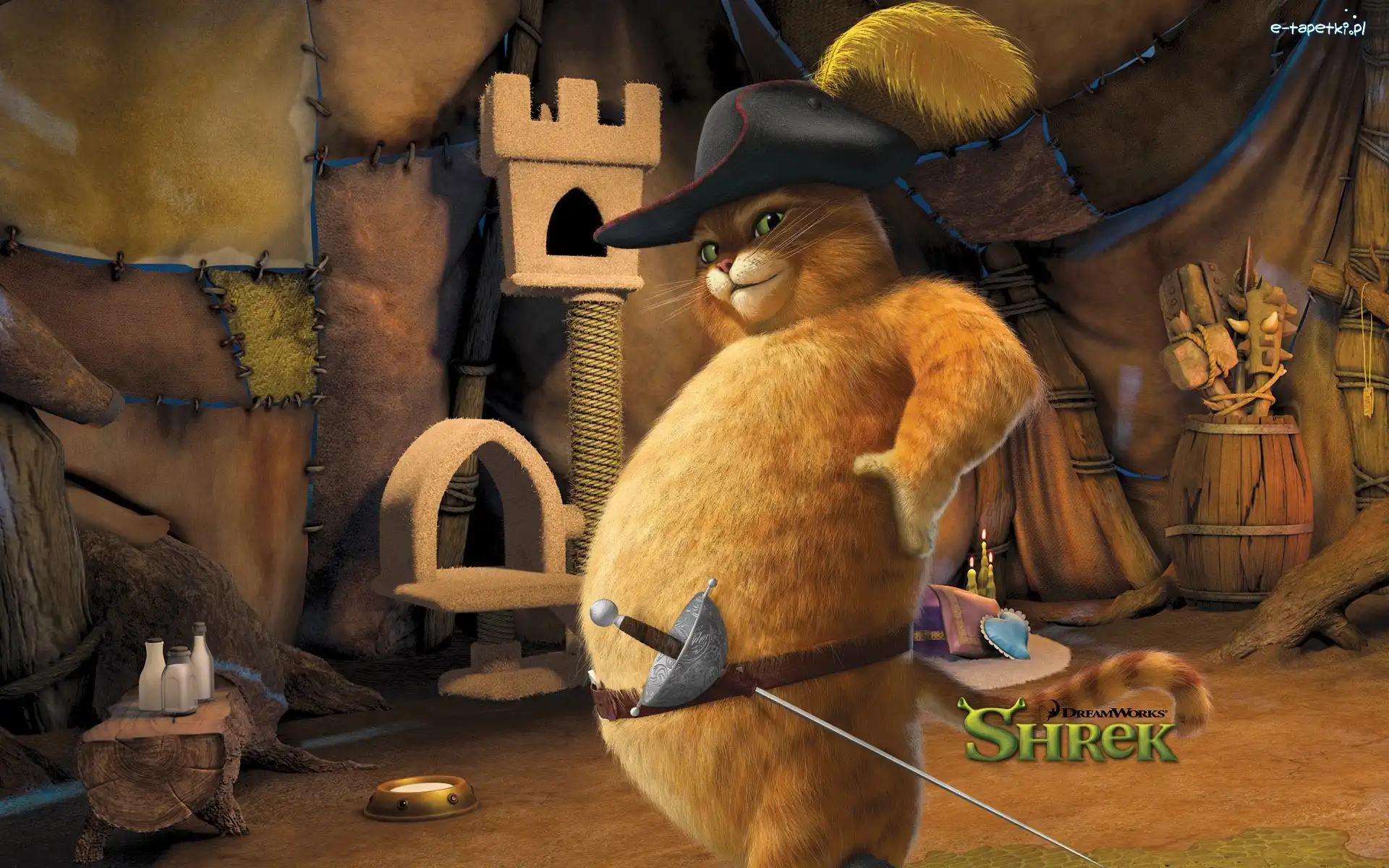 Bajka, Shrek, Kot