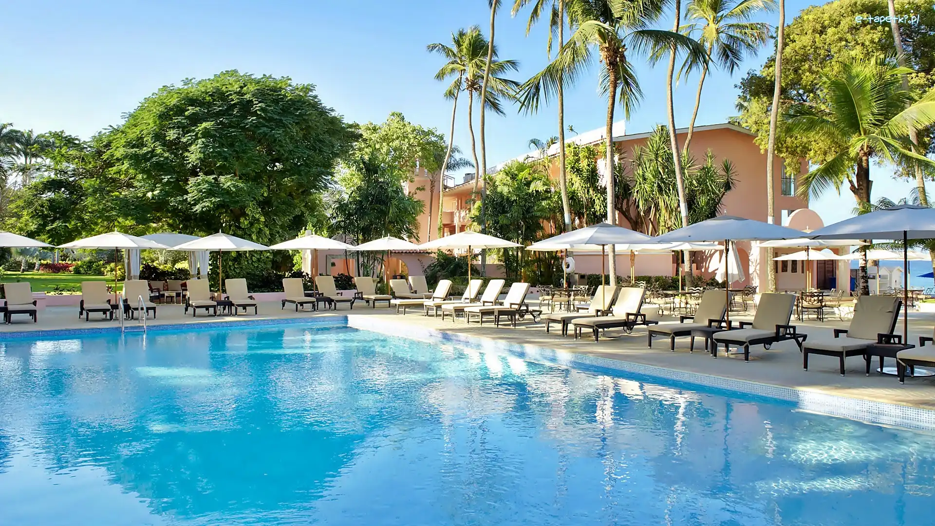 Palmy, Basen, Hotel