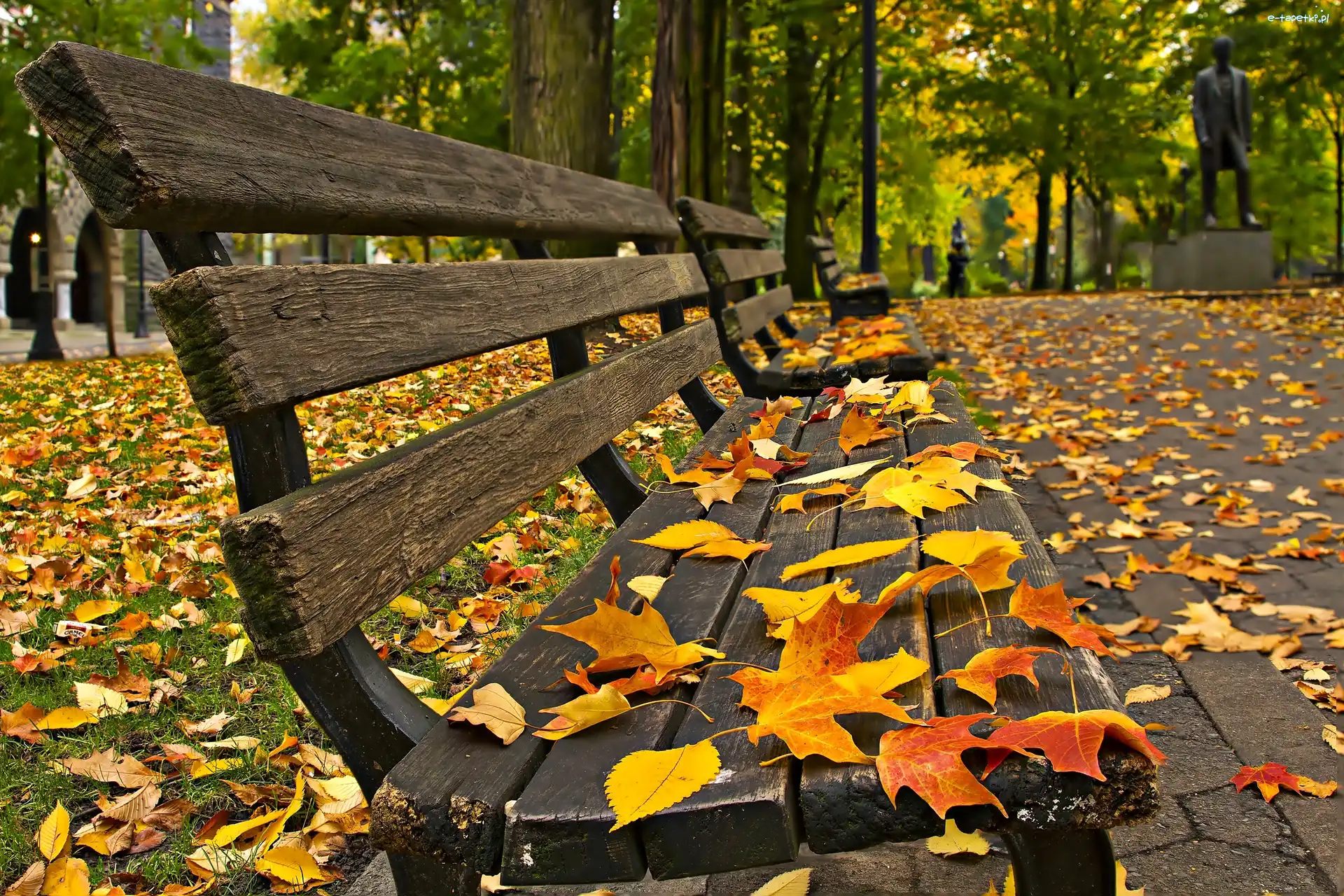 Jesień, Ławeczki, Park, Liście, Opadłe
