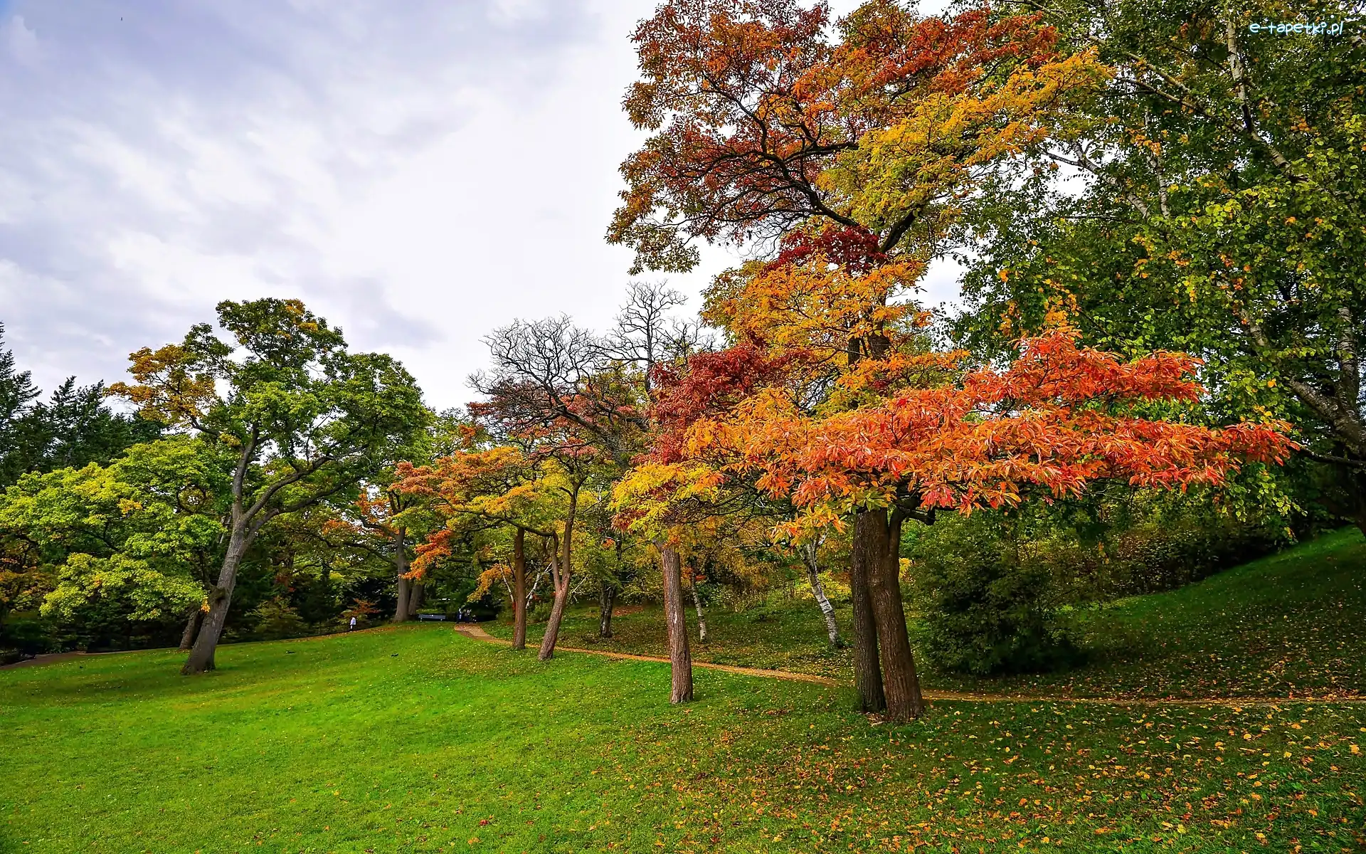 Park, Jesień
