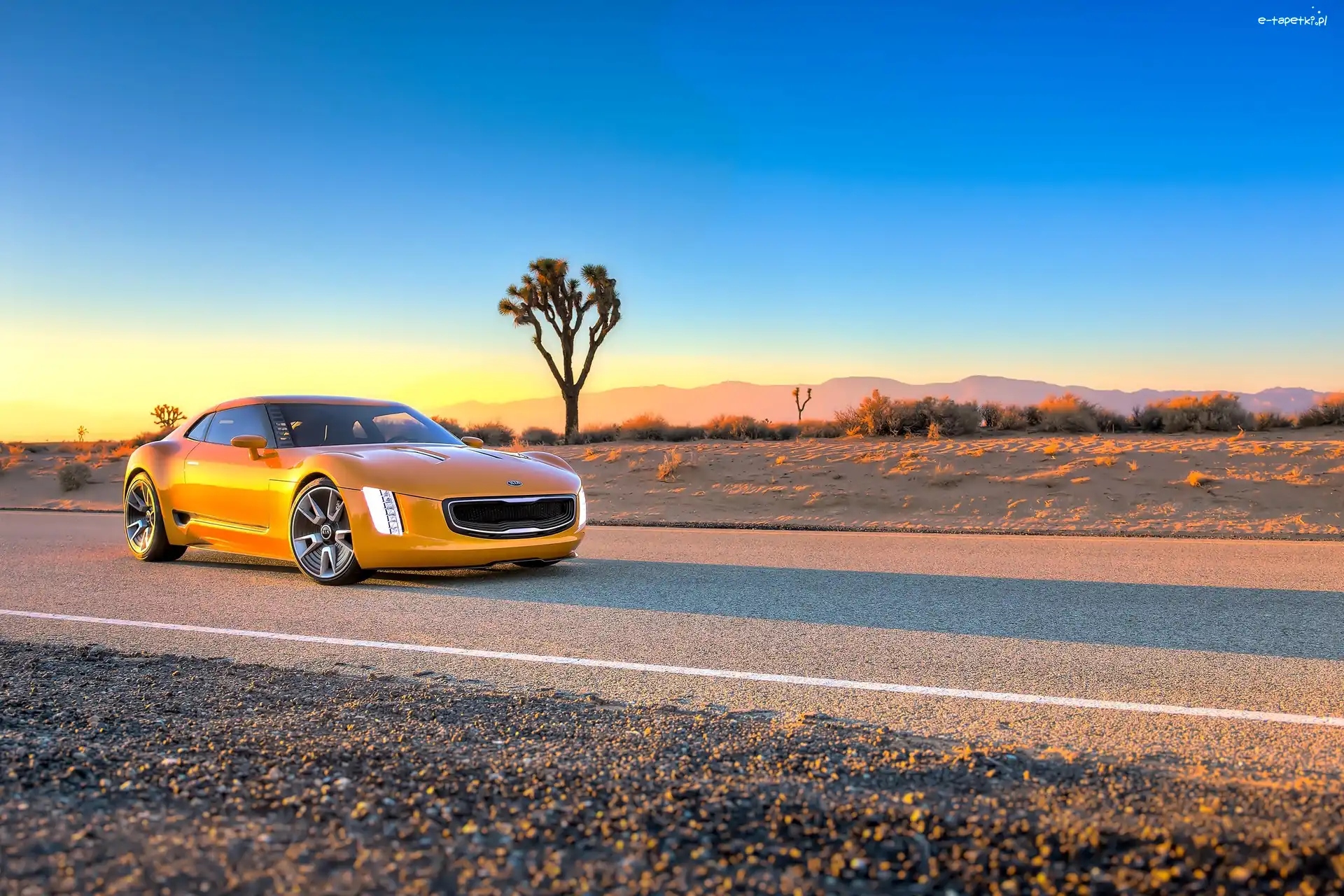 Żółty, GT4 Stinger, Kia