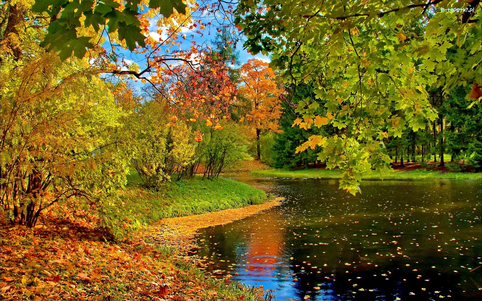Jesień, Staw, Park