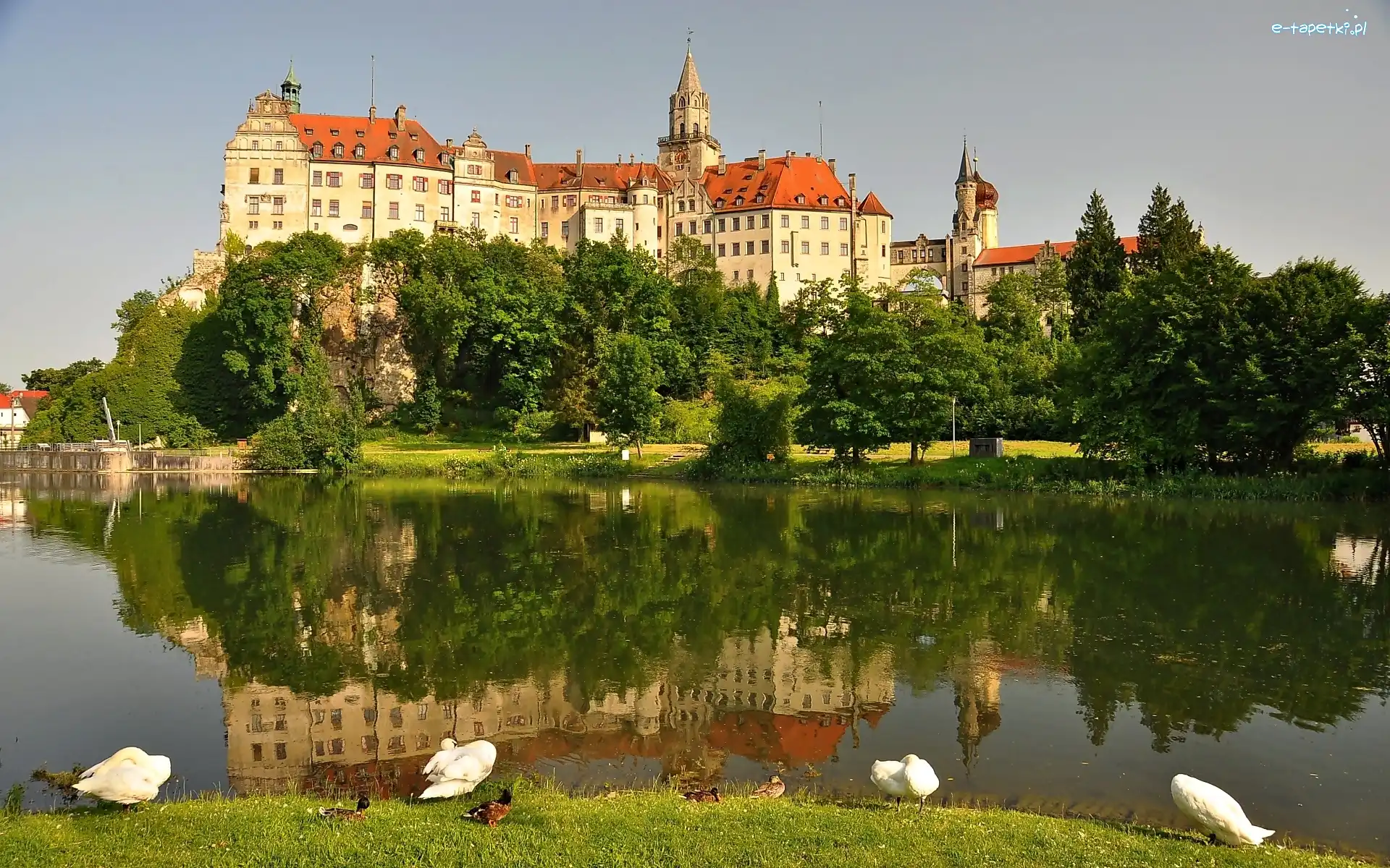 Niemcy, Sigmaringen, Zamek, Łabędzie, Jezioro