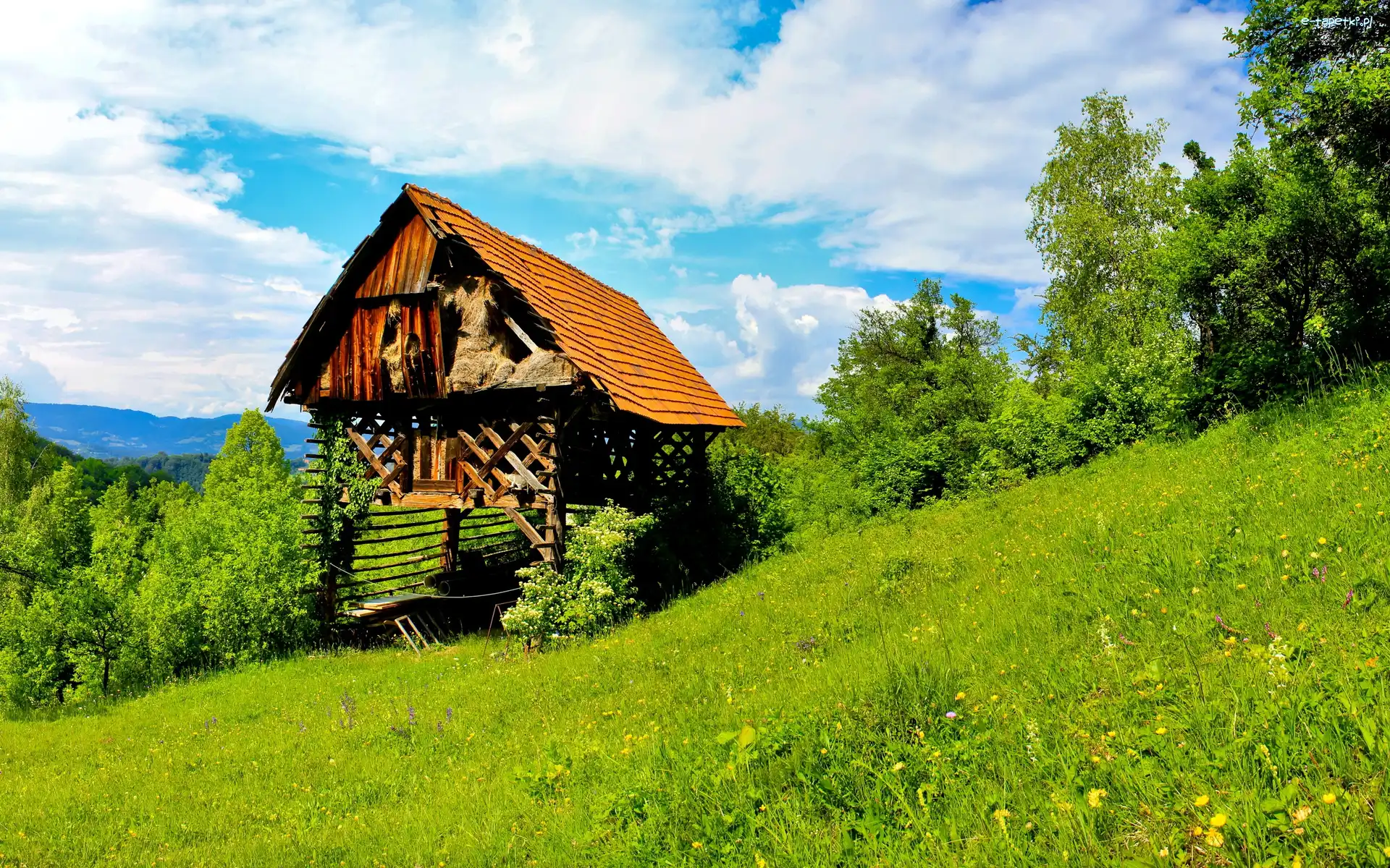 Góry, Las, Łąka, Szopa