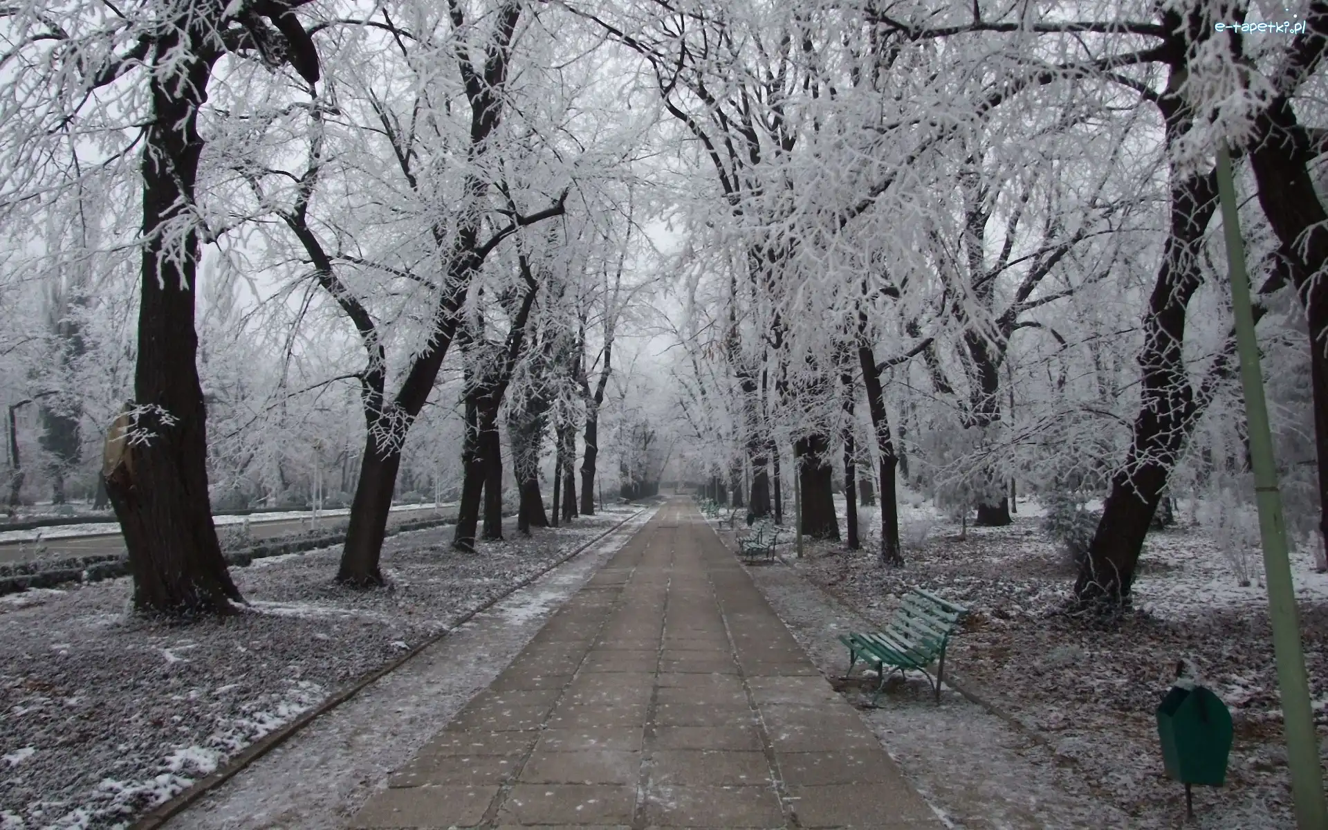 Park, Ławki, Aleja, Zima