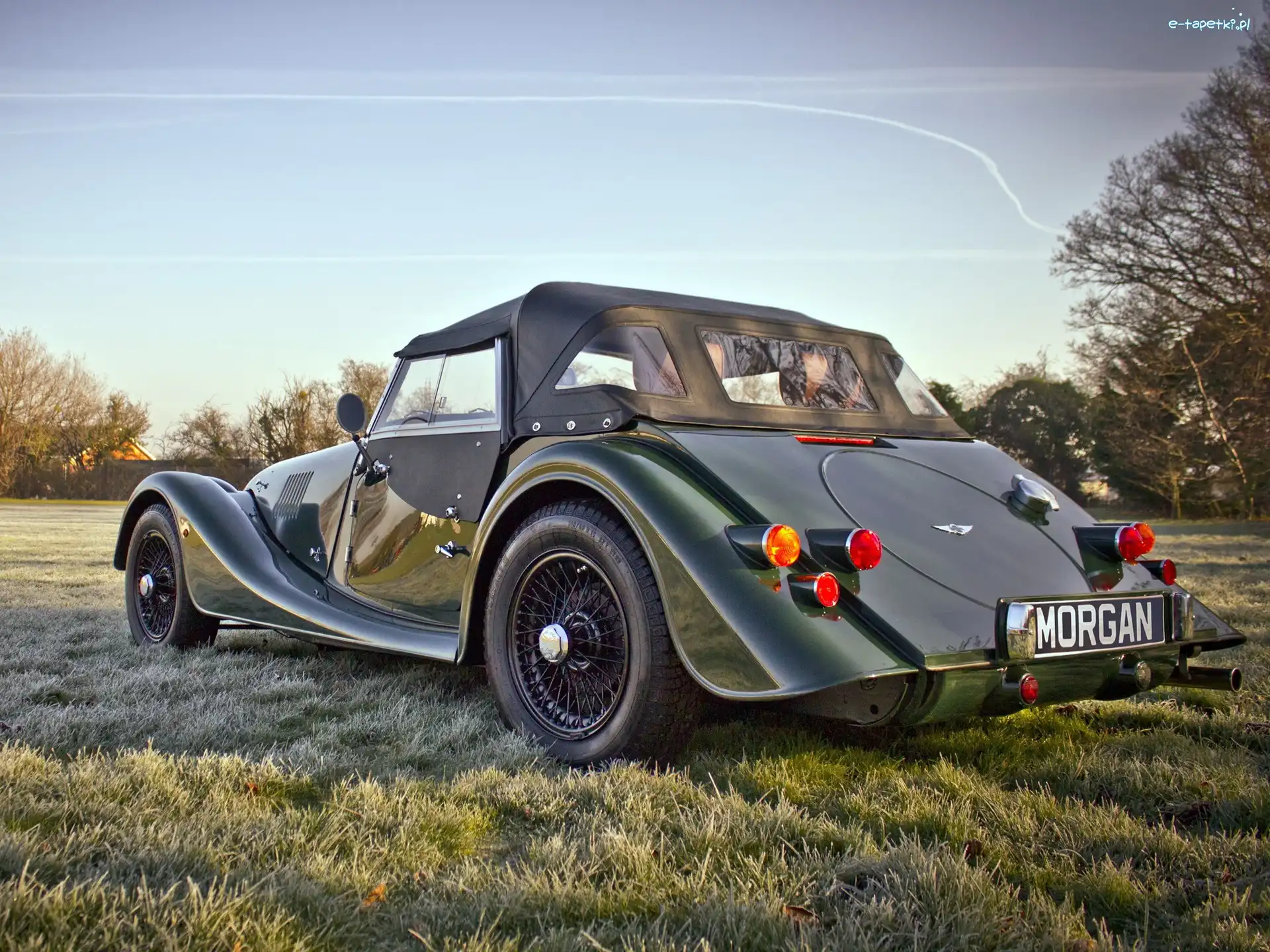Morgan, Czarny