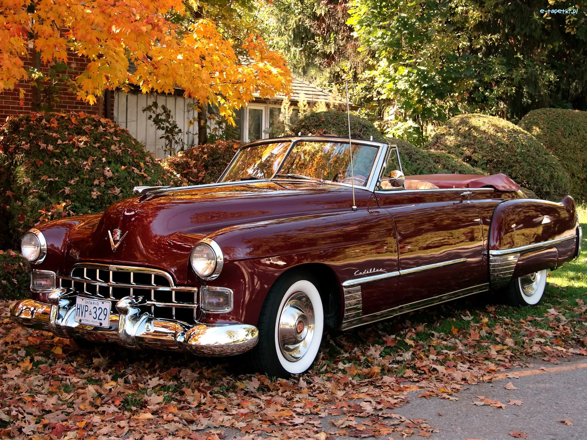 Cadillac, Bordowy