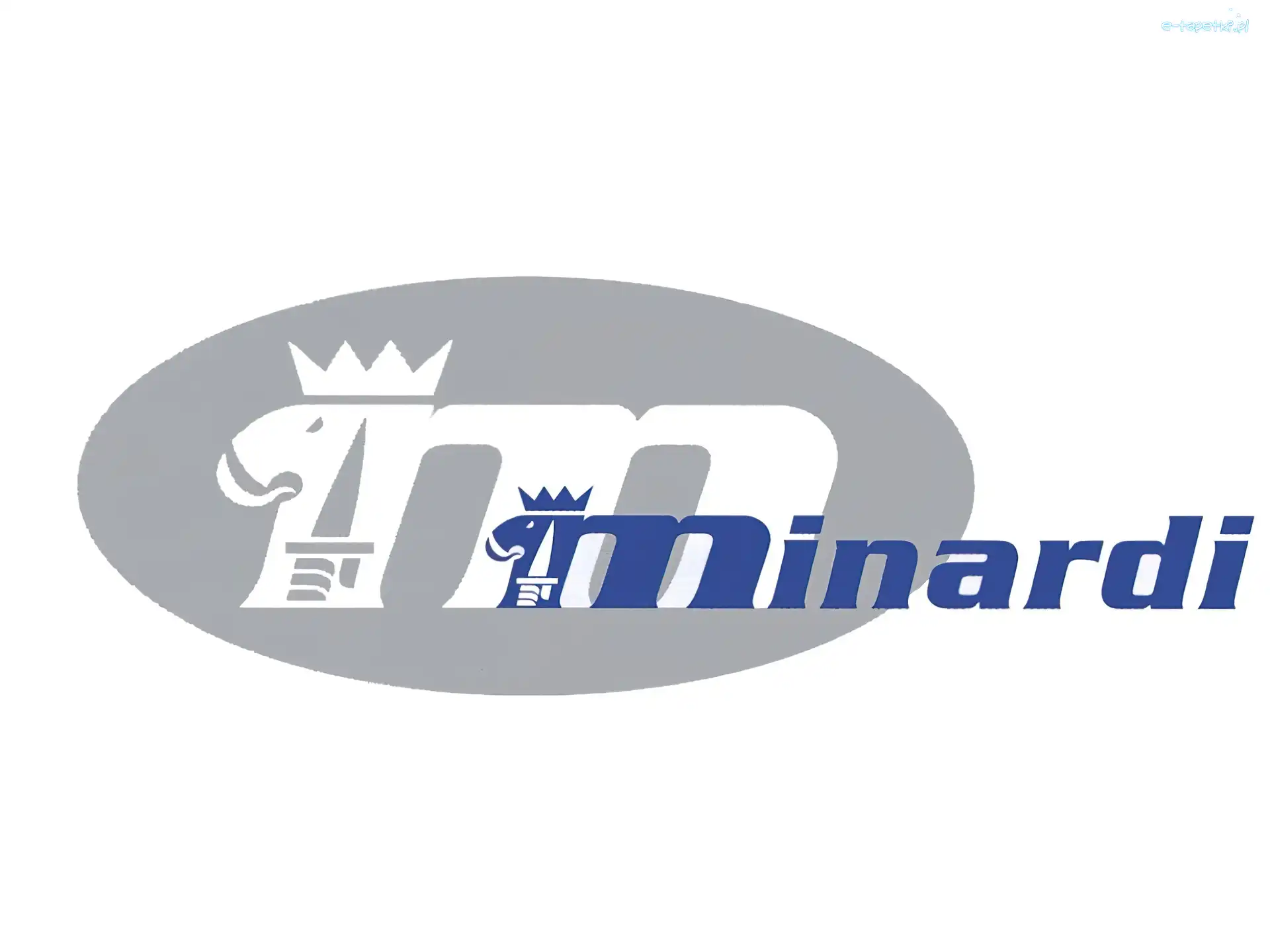 Minardi, Formuła 1