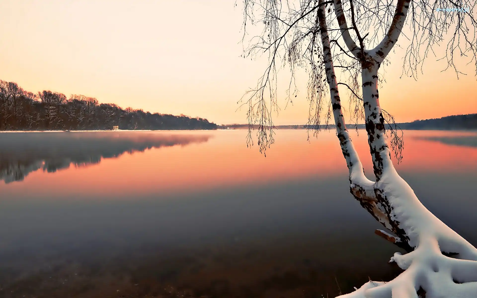 Mgła, Ośnieżone Drzewo, Jezioro