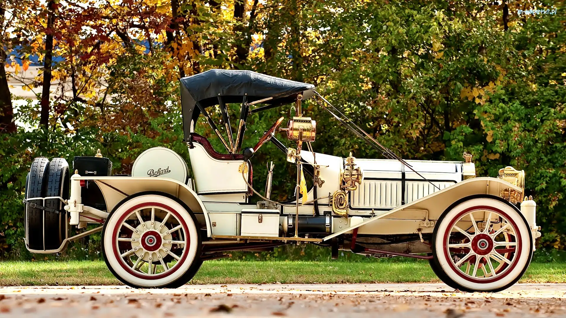Samochód, Packard, Zabytkowy, Drzewa, 1912