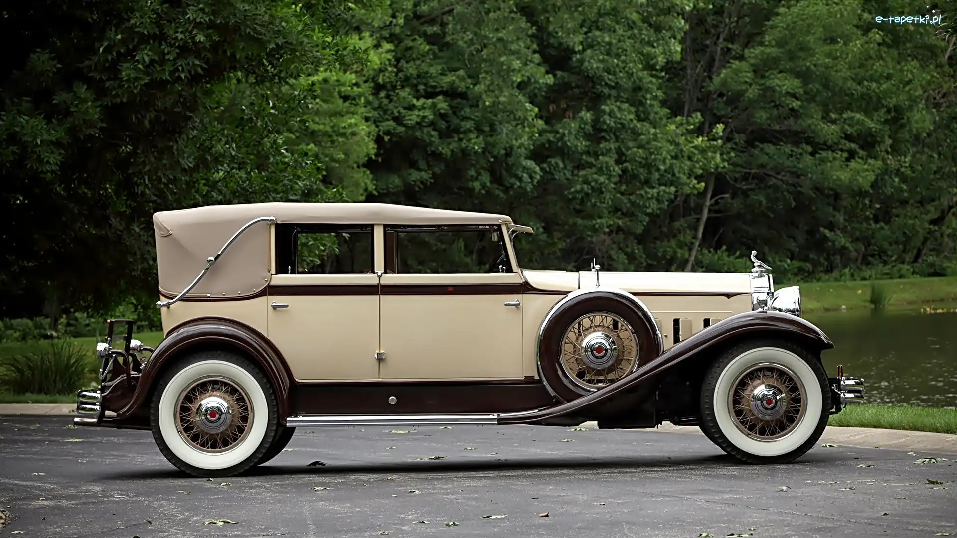 Zabytkowy, 1931, Packard, Samochód
