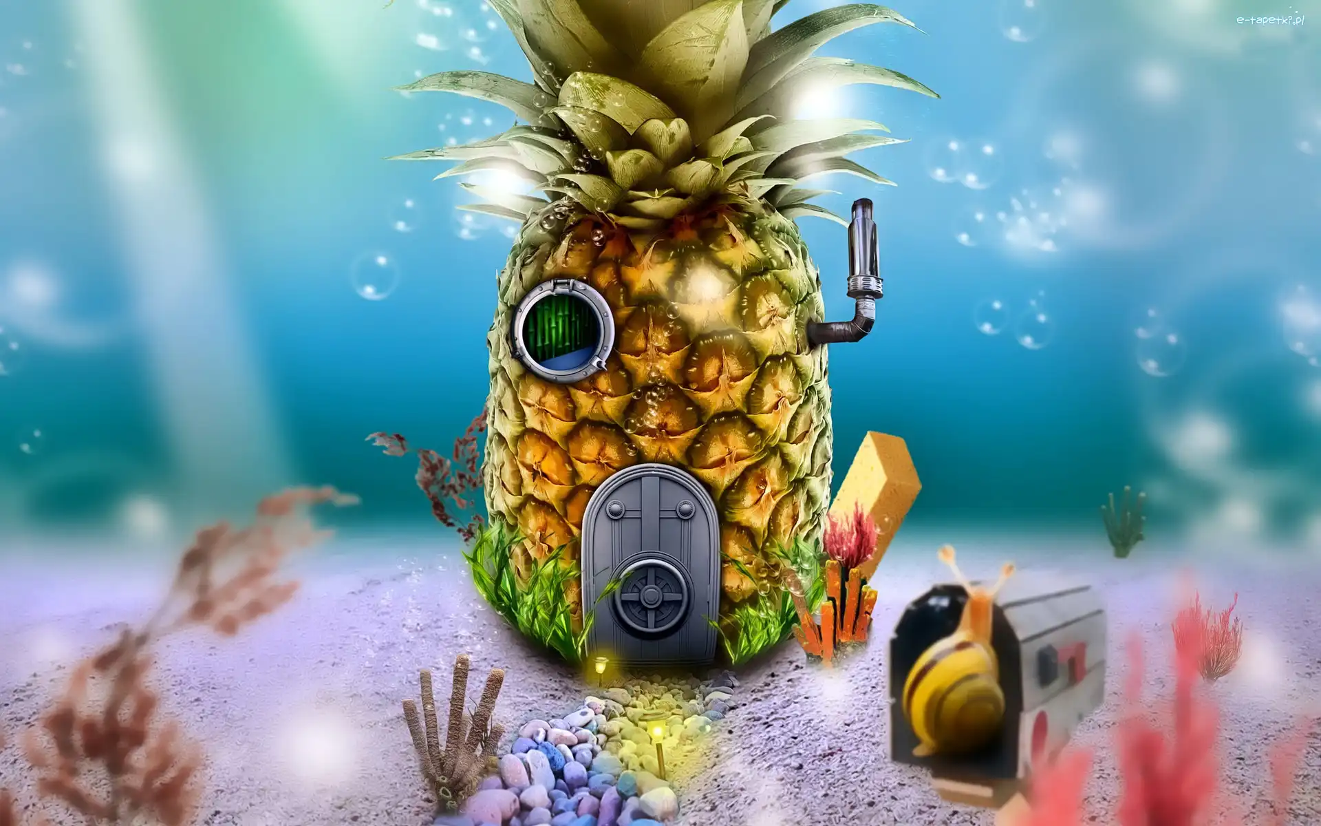 3D, Dom, Ananas