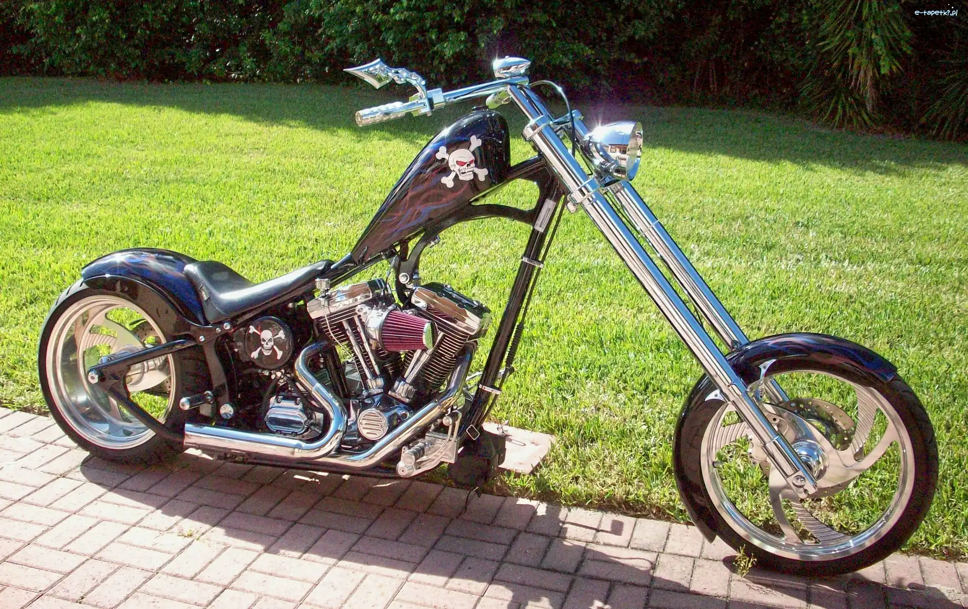 Chopper, Motor