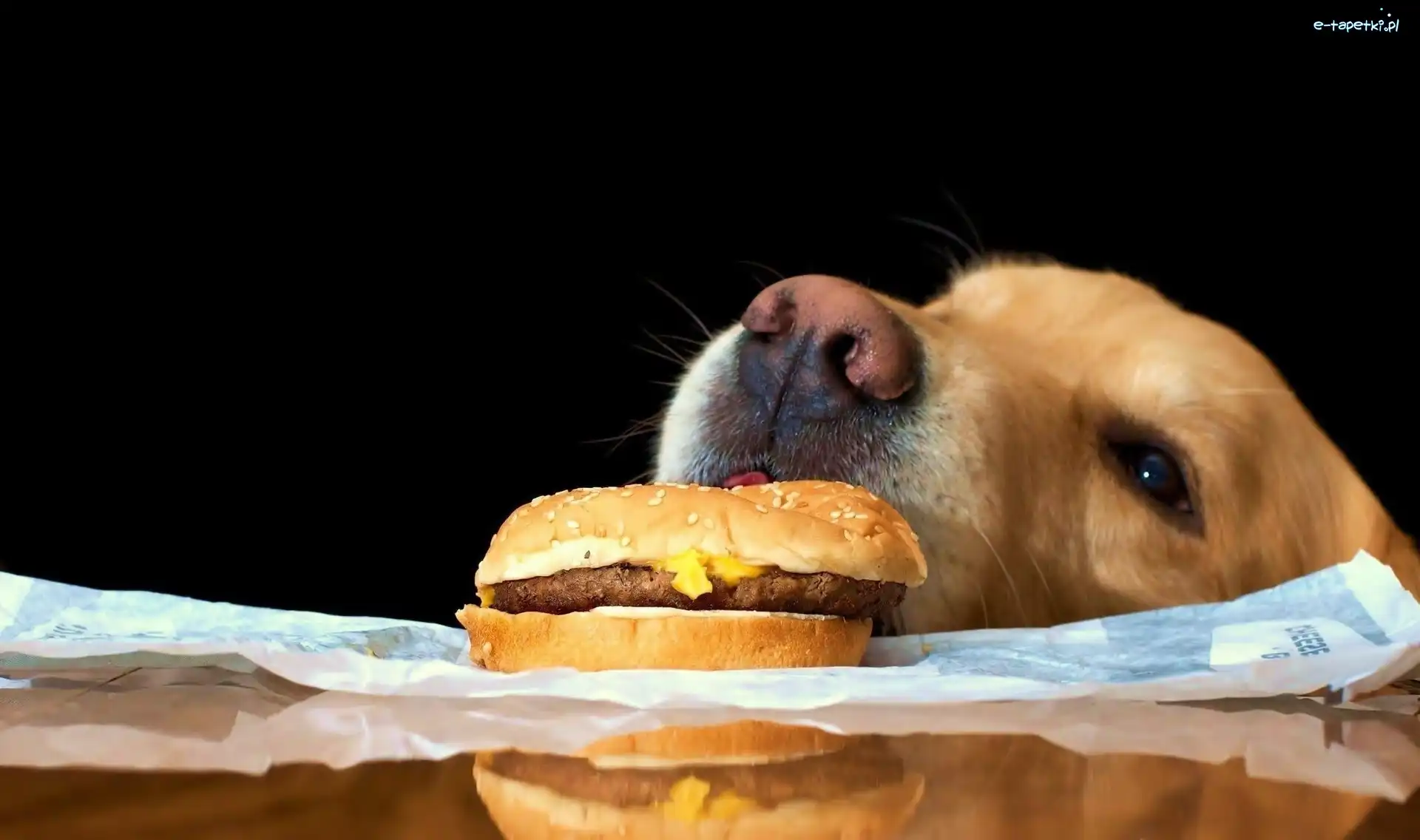 Hamburger, Pies