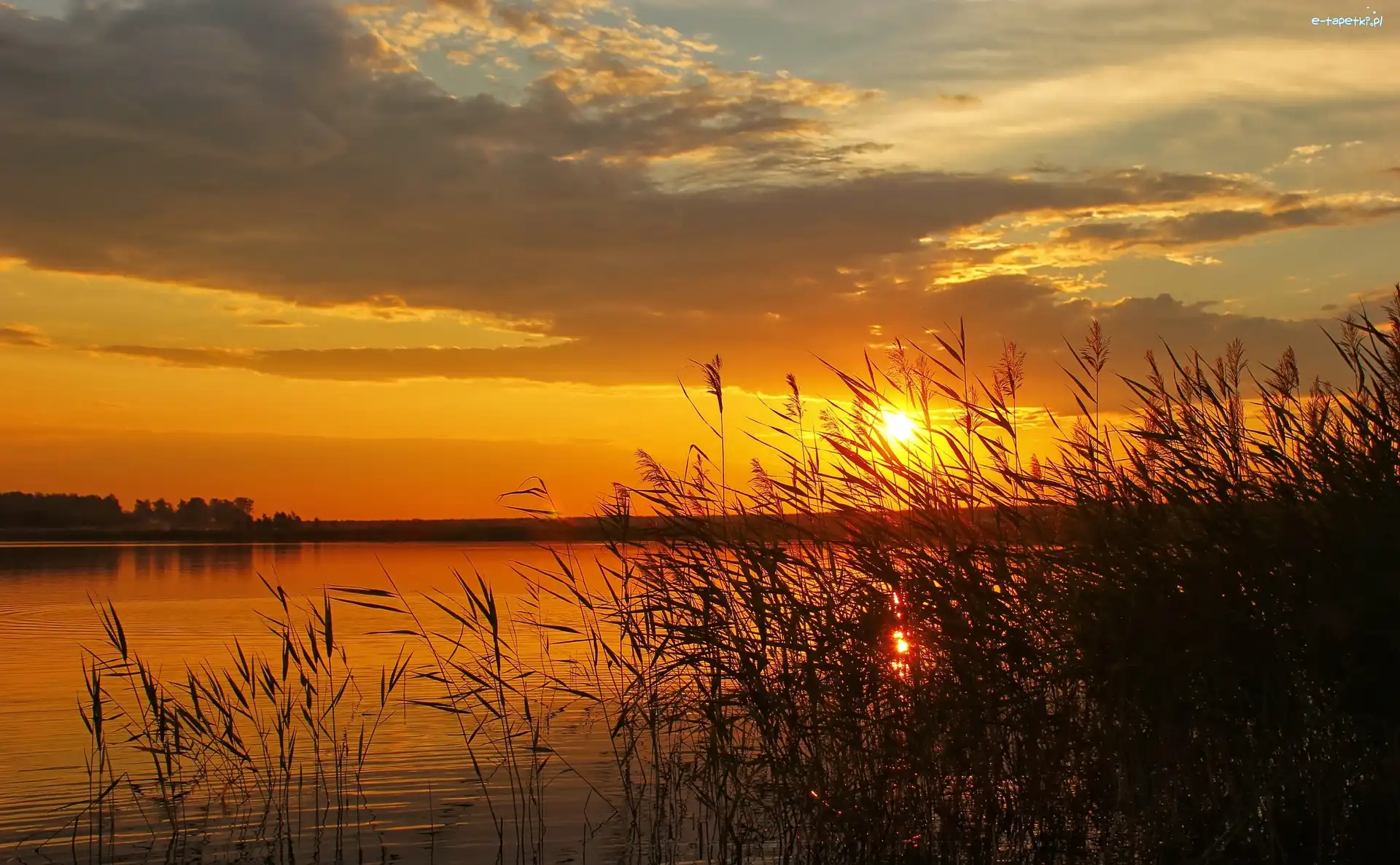 Słońca, Jezioro, Rośliny, Zachód