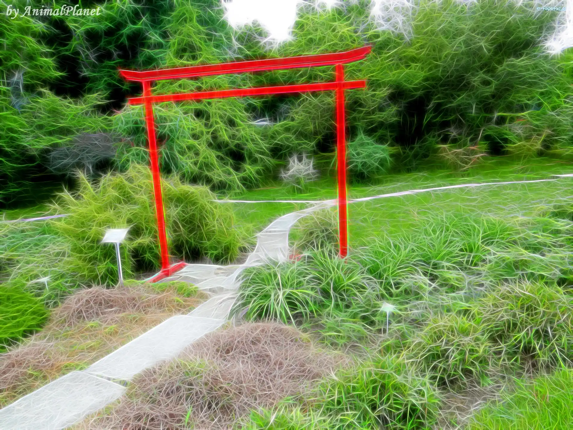 Botaniczny, Fractalius, Poznań, Ogród