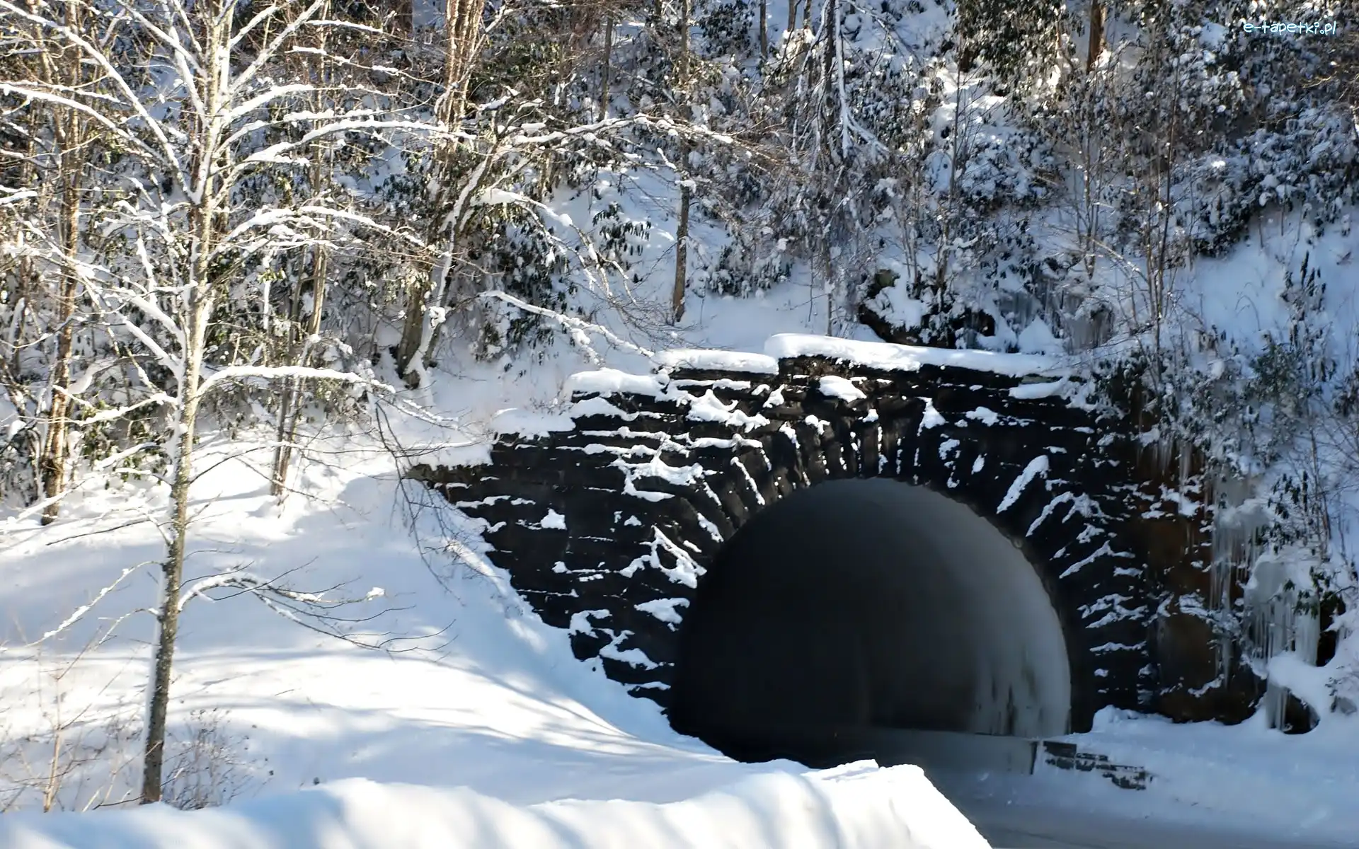 Śnieg, Drzewa, Tunel. Las, Zima