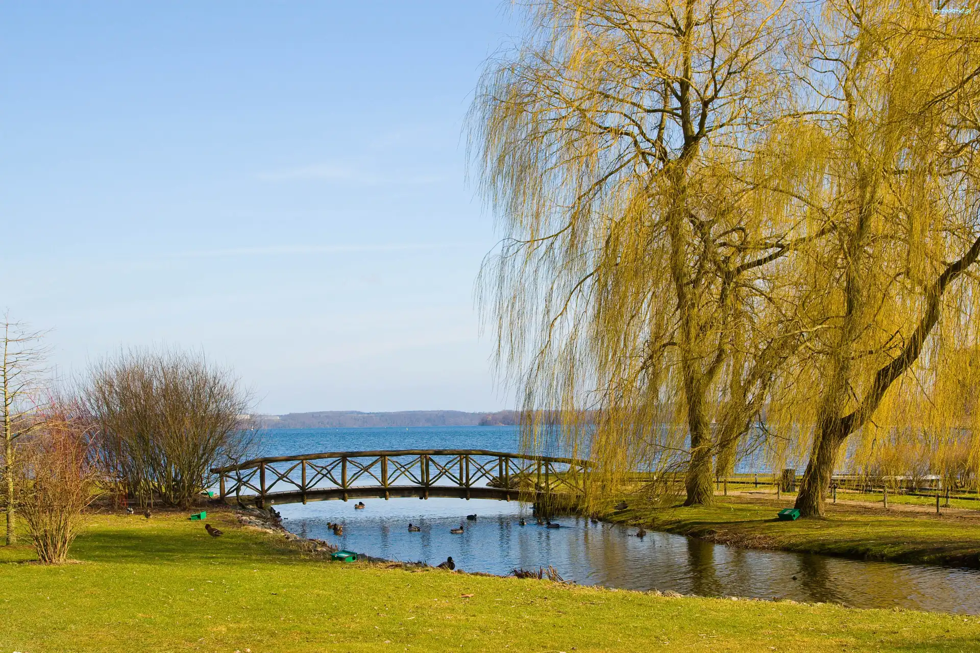 Mostek, Wierzba, Jezioro, Park