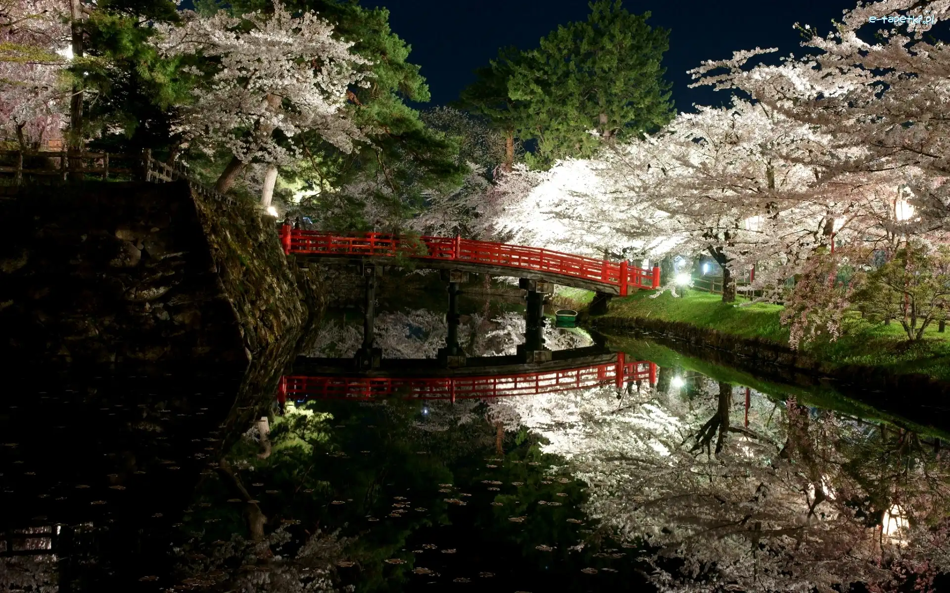 Japonia, Most, Kwitnące, Rzeka, Park, Wiosna, Drzewa