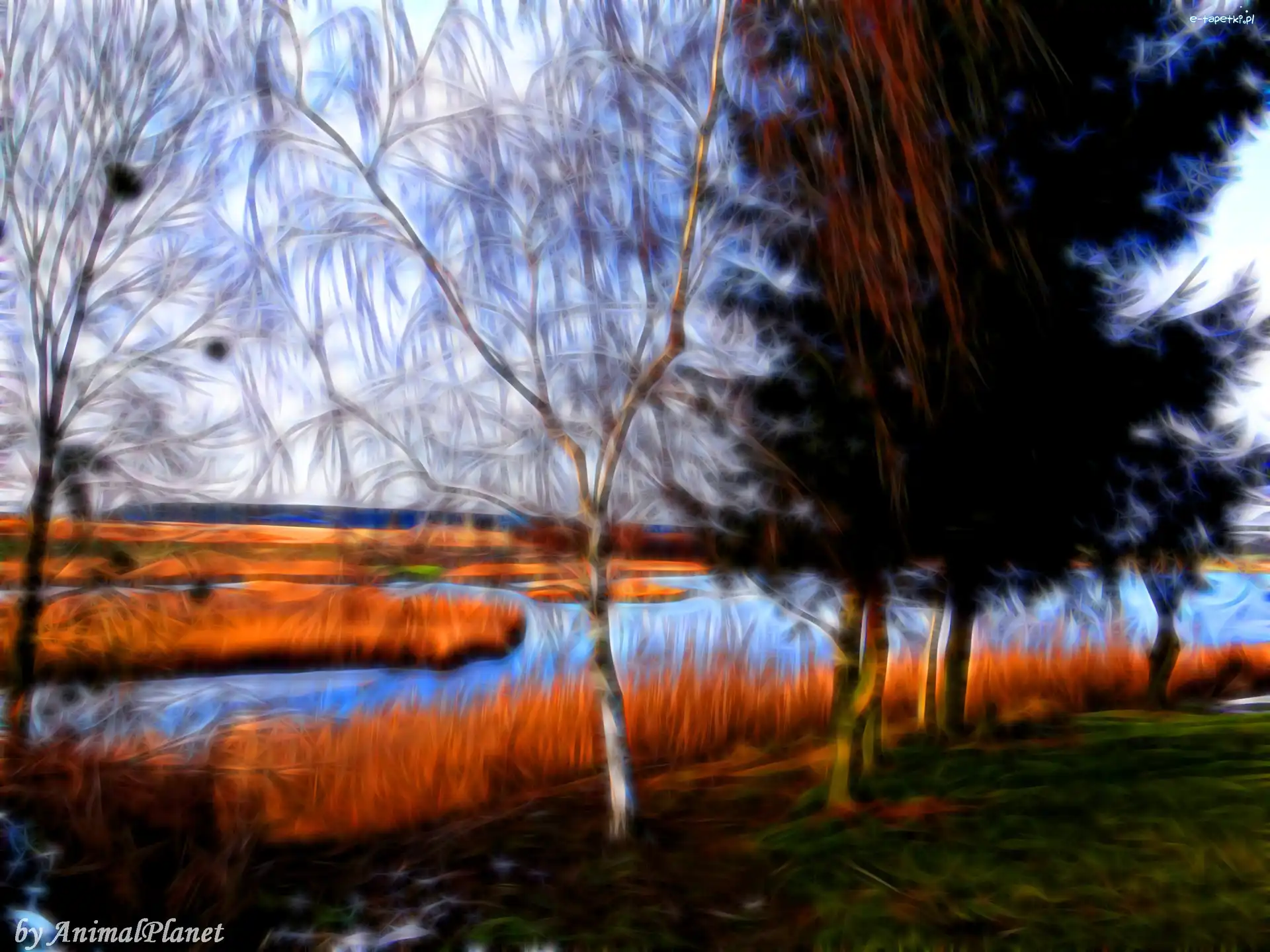 Fractalius, Jezioro, Krajobraz