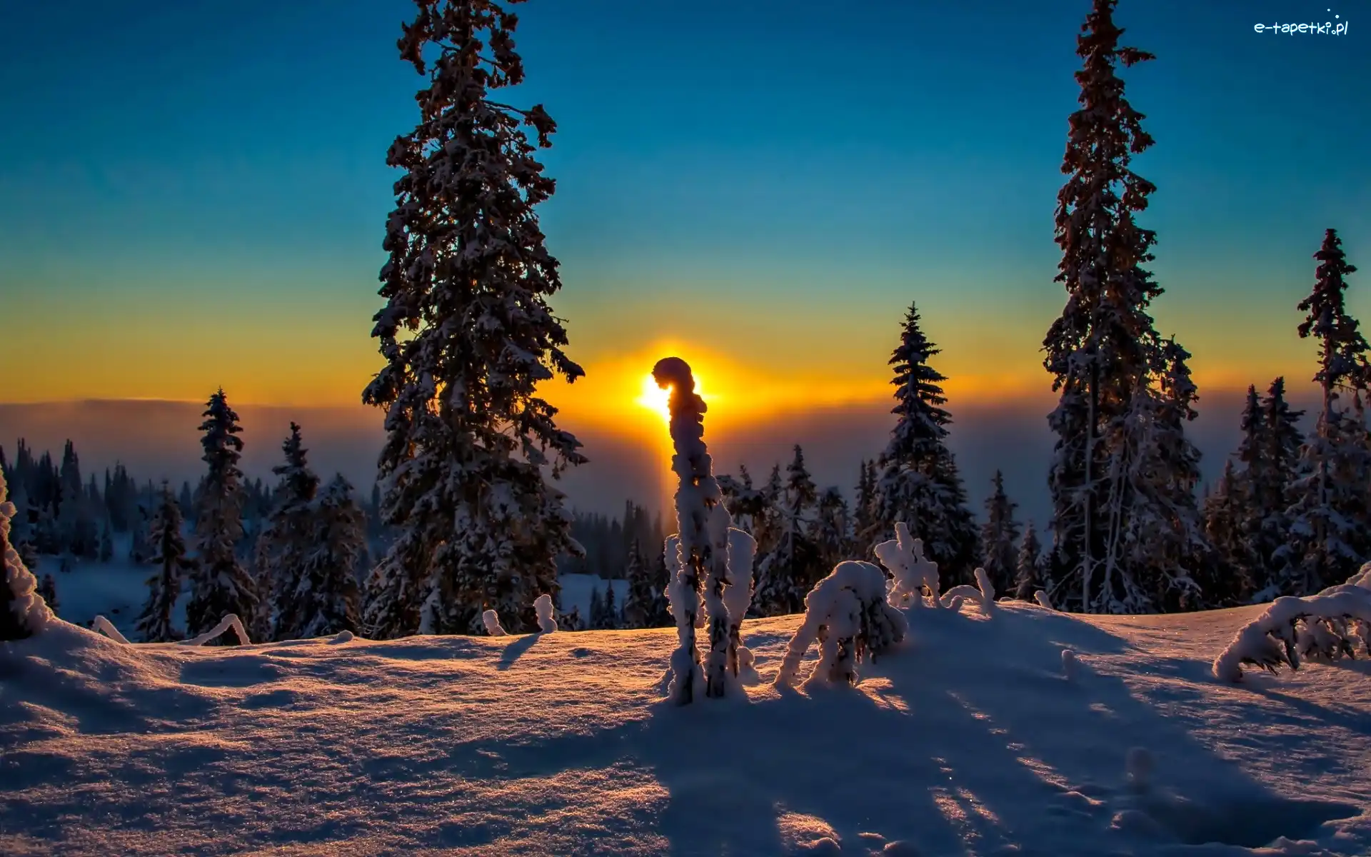 Śnieg, Zachód Słońca, Drzewa, Zima