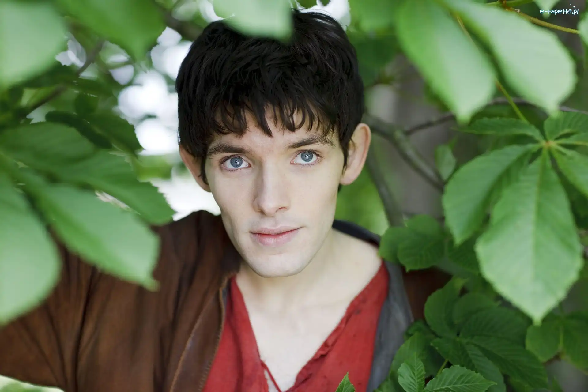 Serial, The Adventures of Merlin, Przygody Merlina, Colin Morgan, Aktor