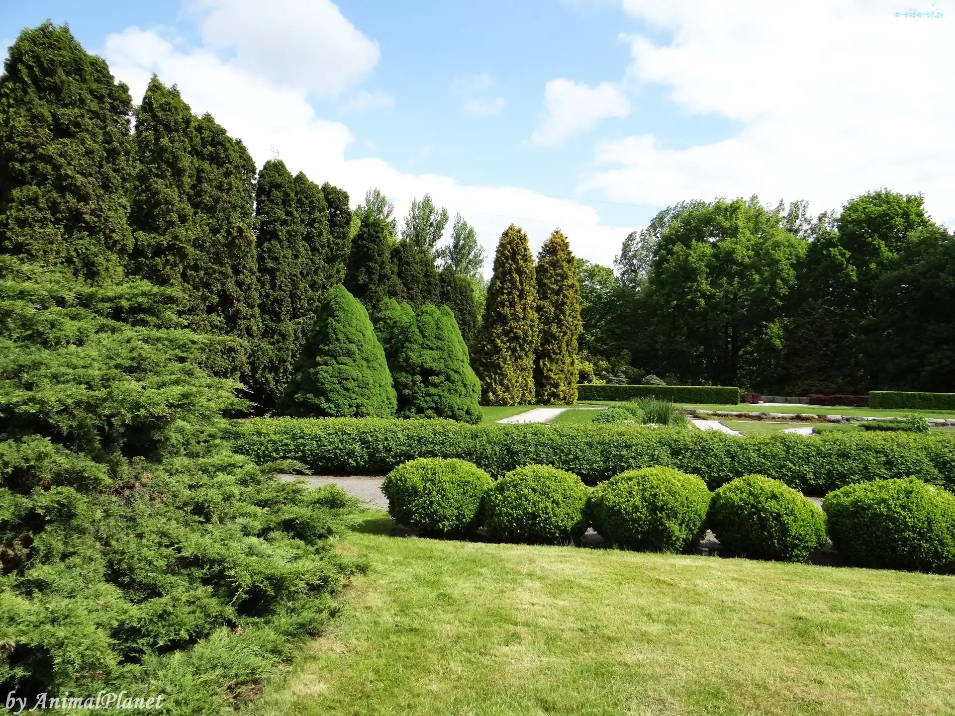 Drzewa, Park, Krzewy, Krajobraz
