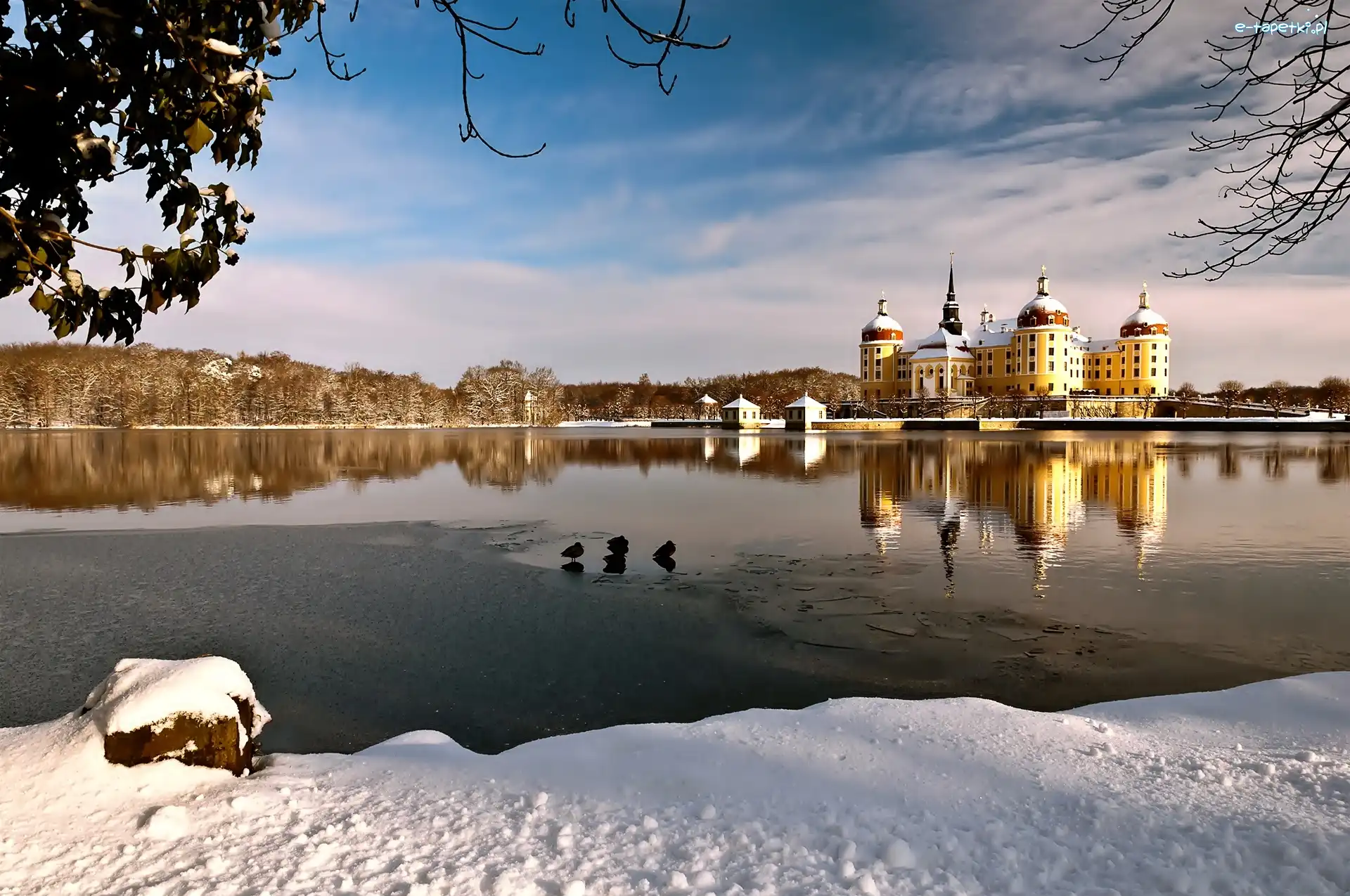 Jezioro, Niemcy, Pałac Moritzburg