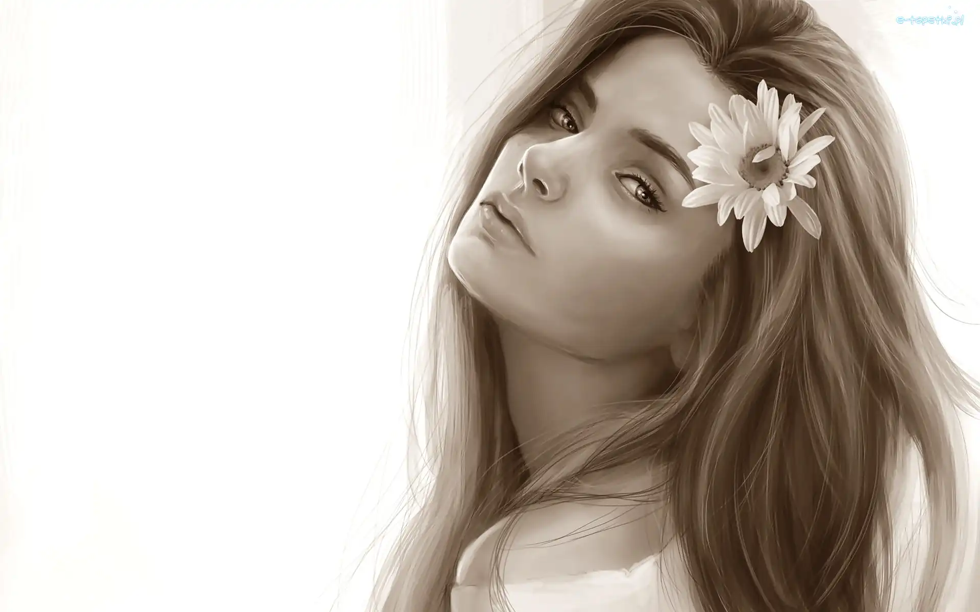 Kobieta, Kwiat, Sepia, Grafika