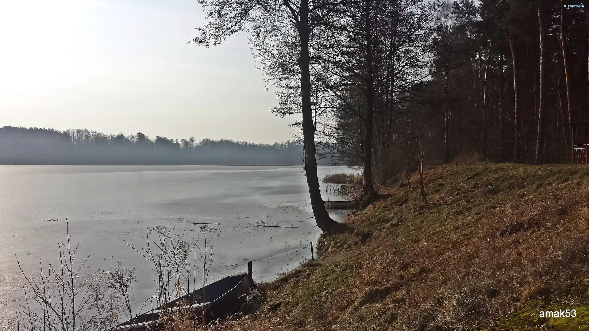 Staw Górny, Pionki