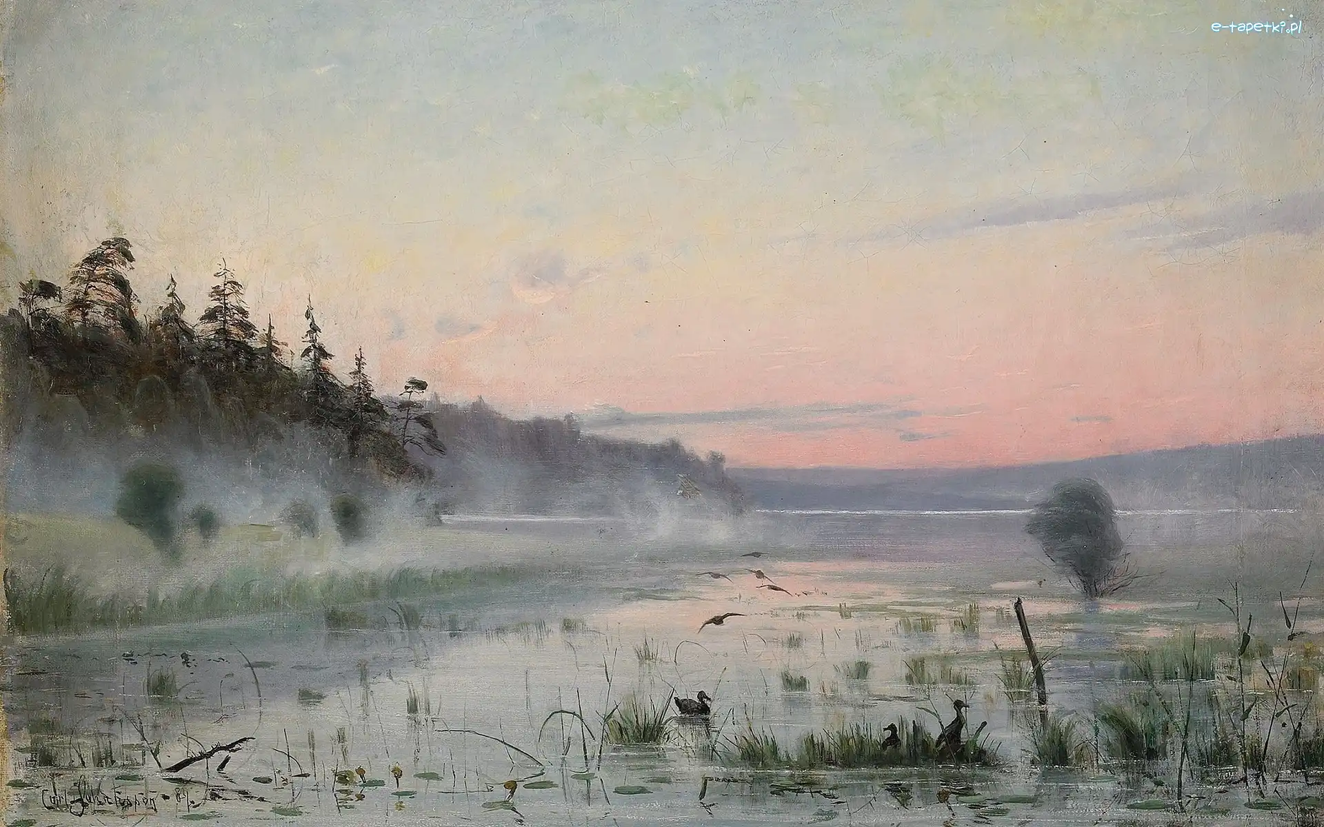 Jezioro, Obraz, Mgła, Kaczki, Las