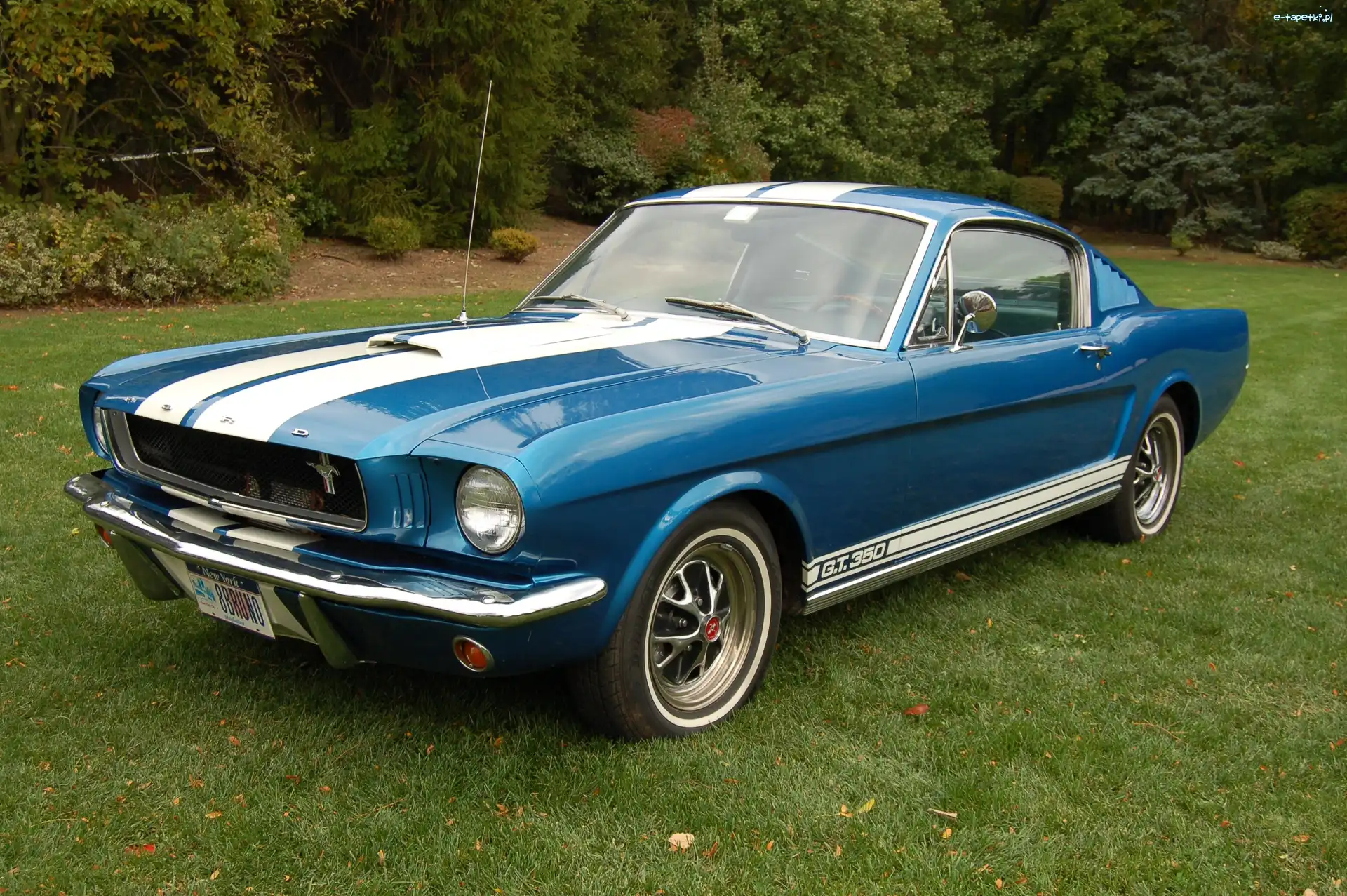 Samochód, Mustang, Ford