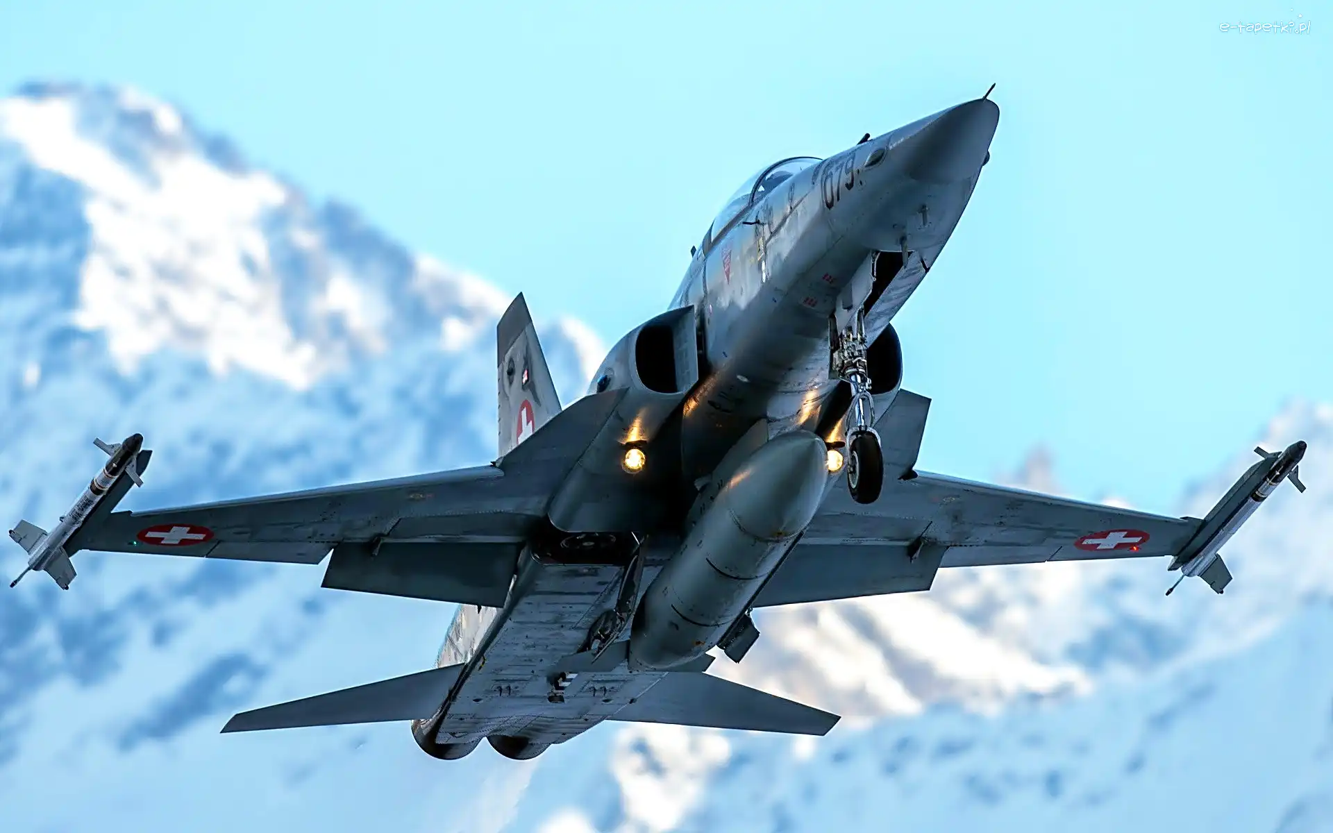 F-5 Tiger, Northrop, Samolot