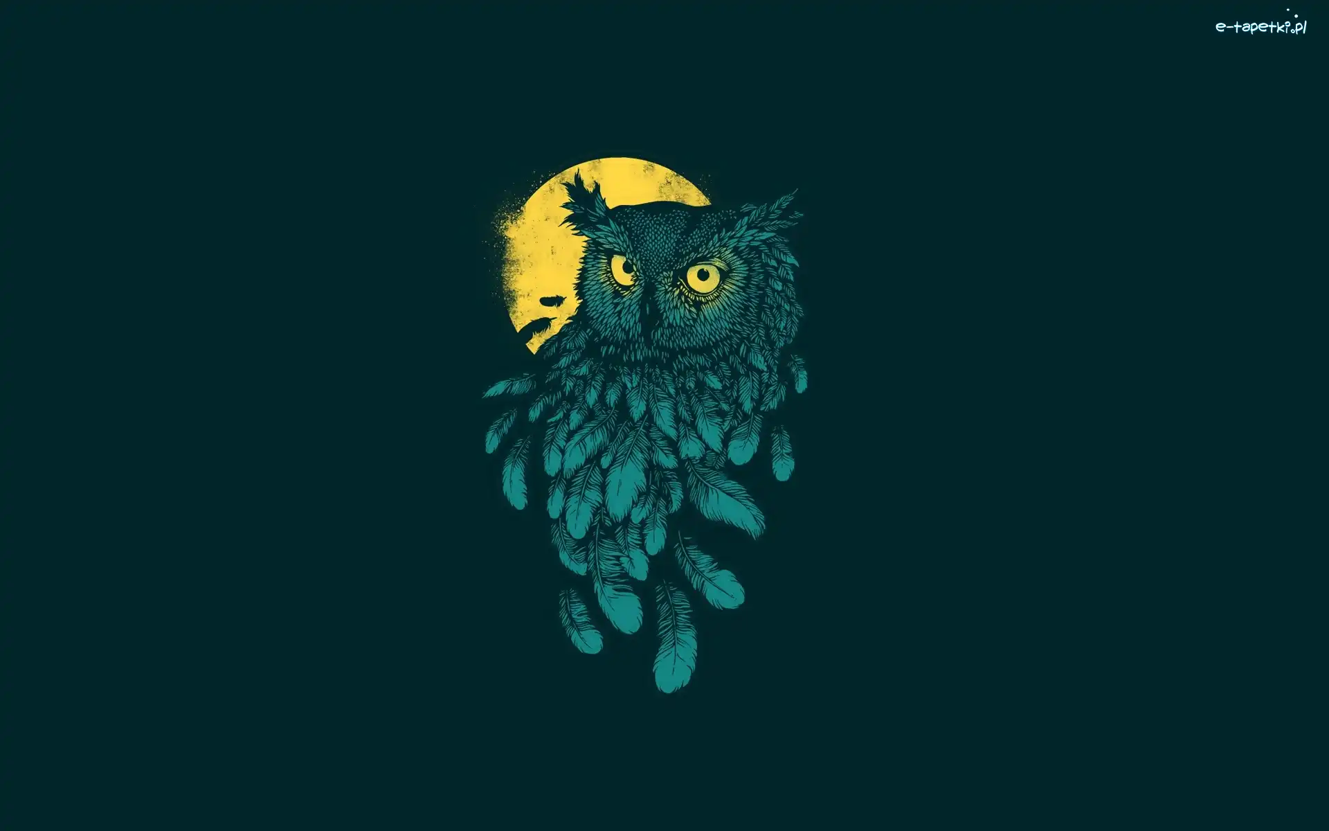 2D, Księżyc, Sowa