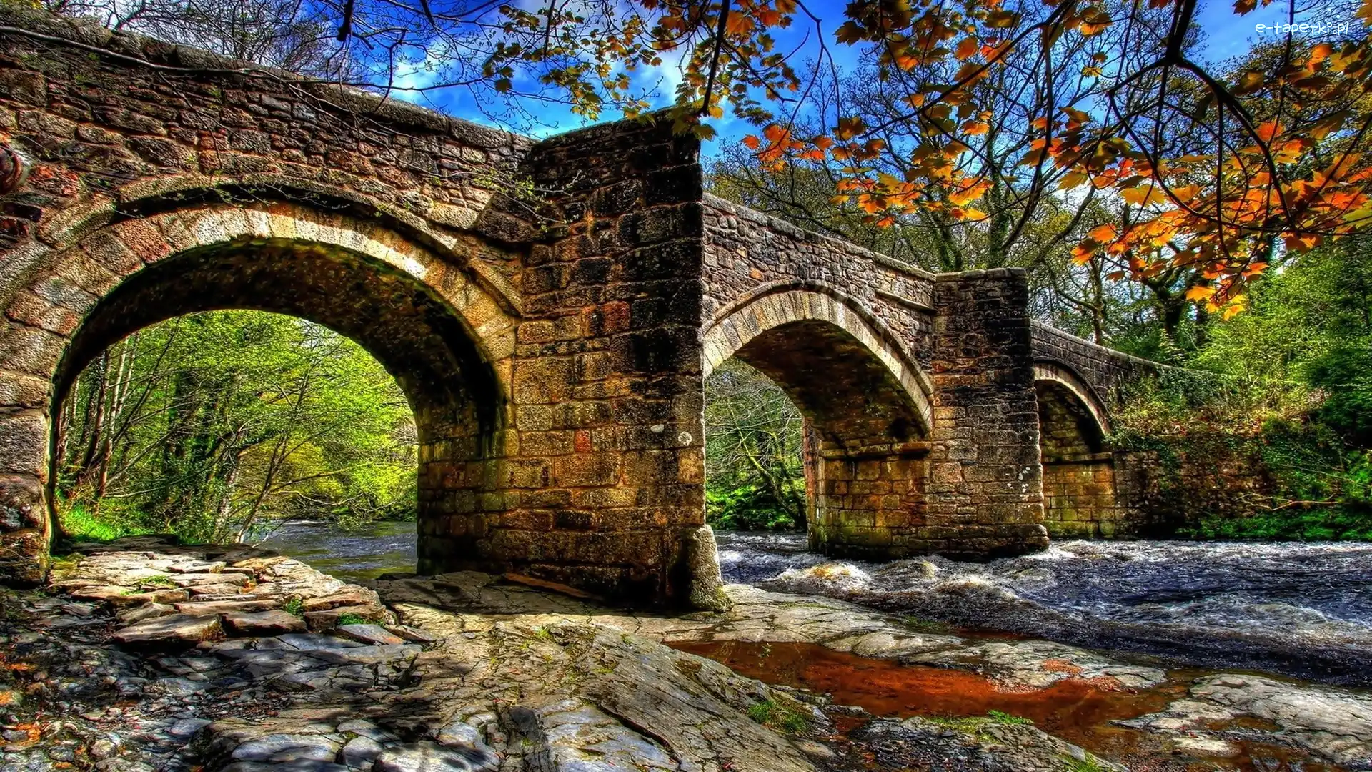 Las, Rzeka, Most
