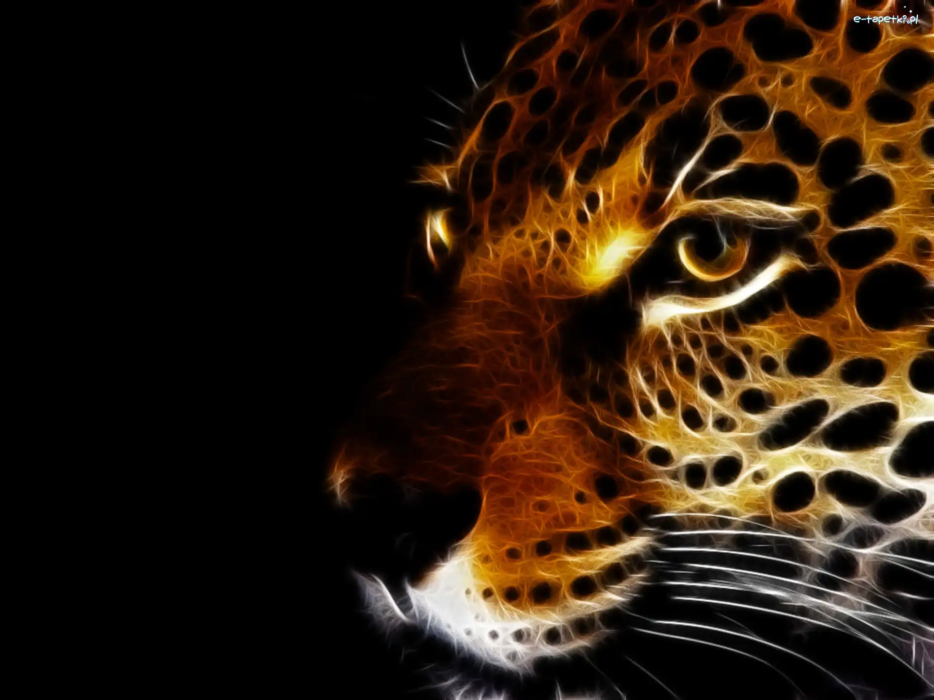 Fractalius, Lampart