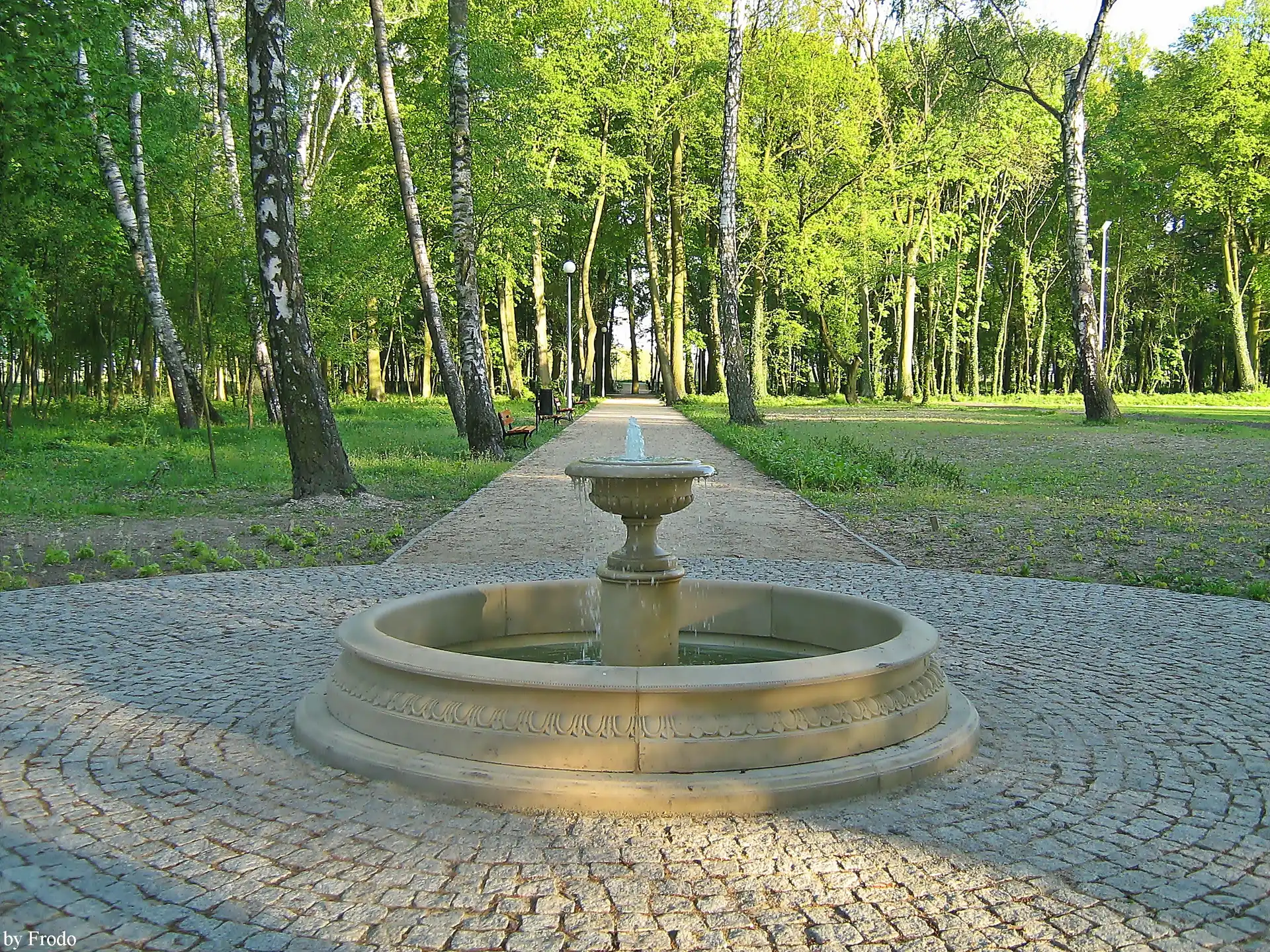 Ścieżka, Drzewa, Fontanna