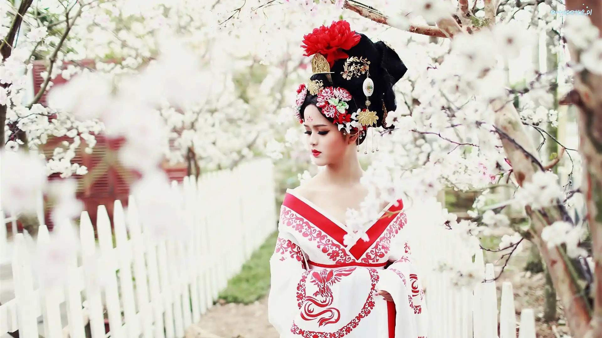 Kimono, Moda, Wiosna, Kobieta