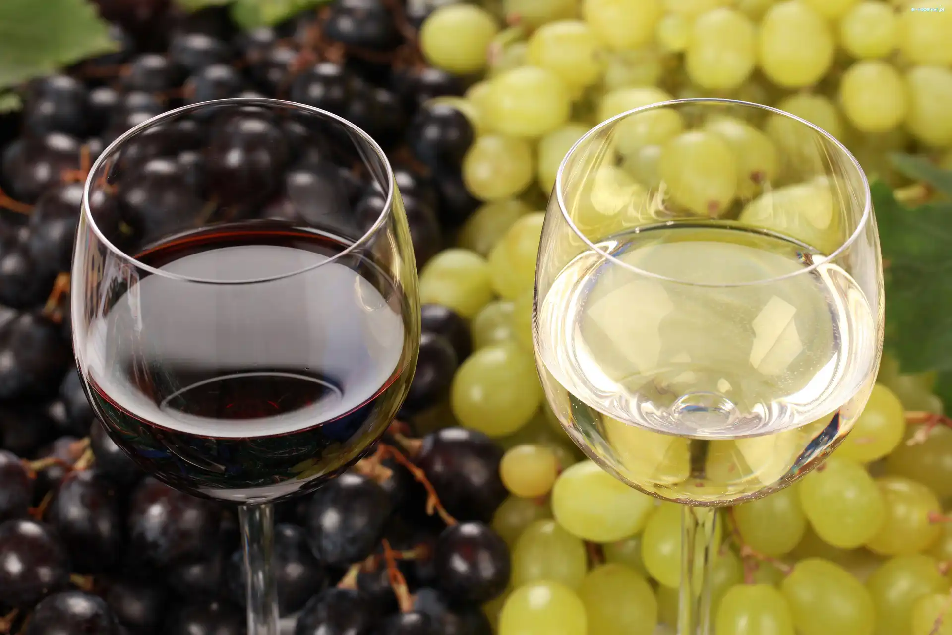 Wino, Białe, Kieliszki, Winogrona, Czerwone