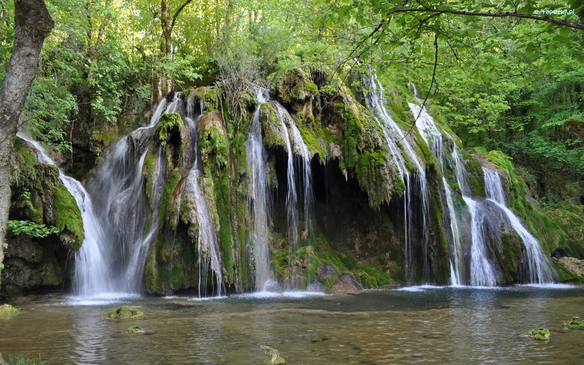 Roślinność, Kaskada