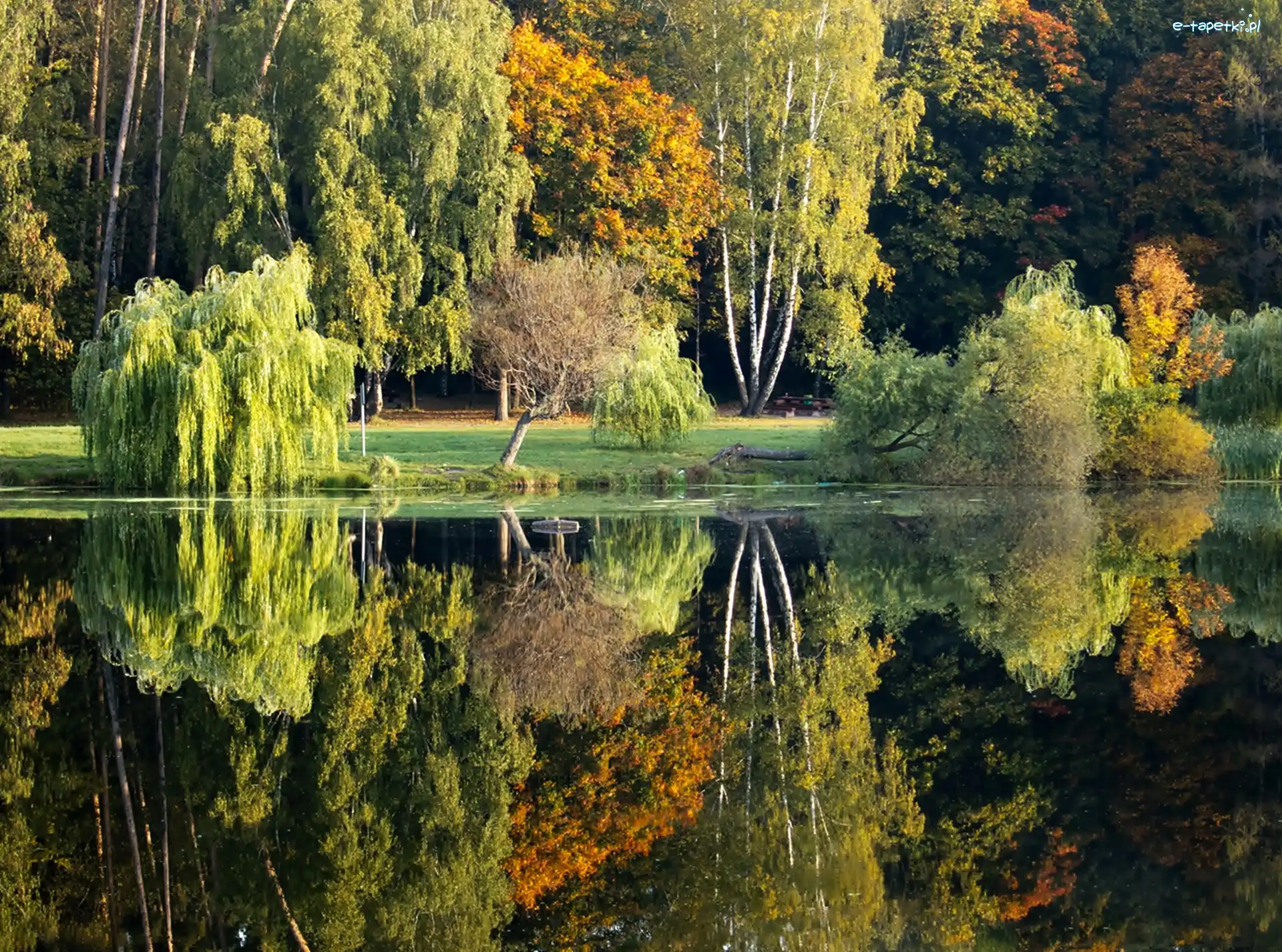 Park, Odbicie, Staw, Jesień