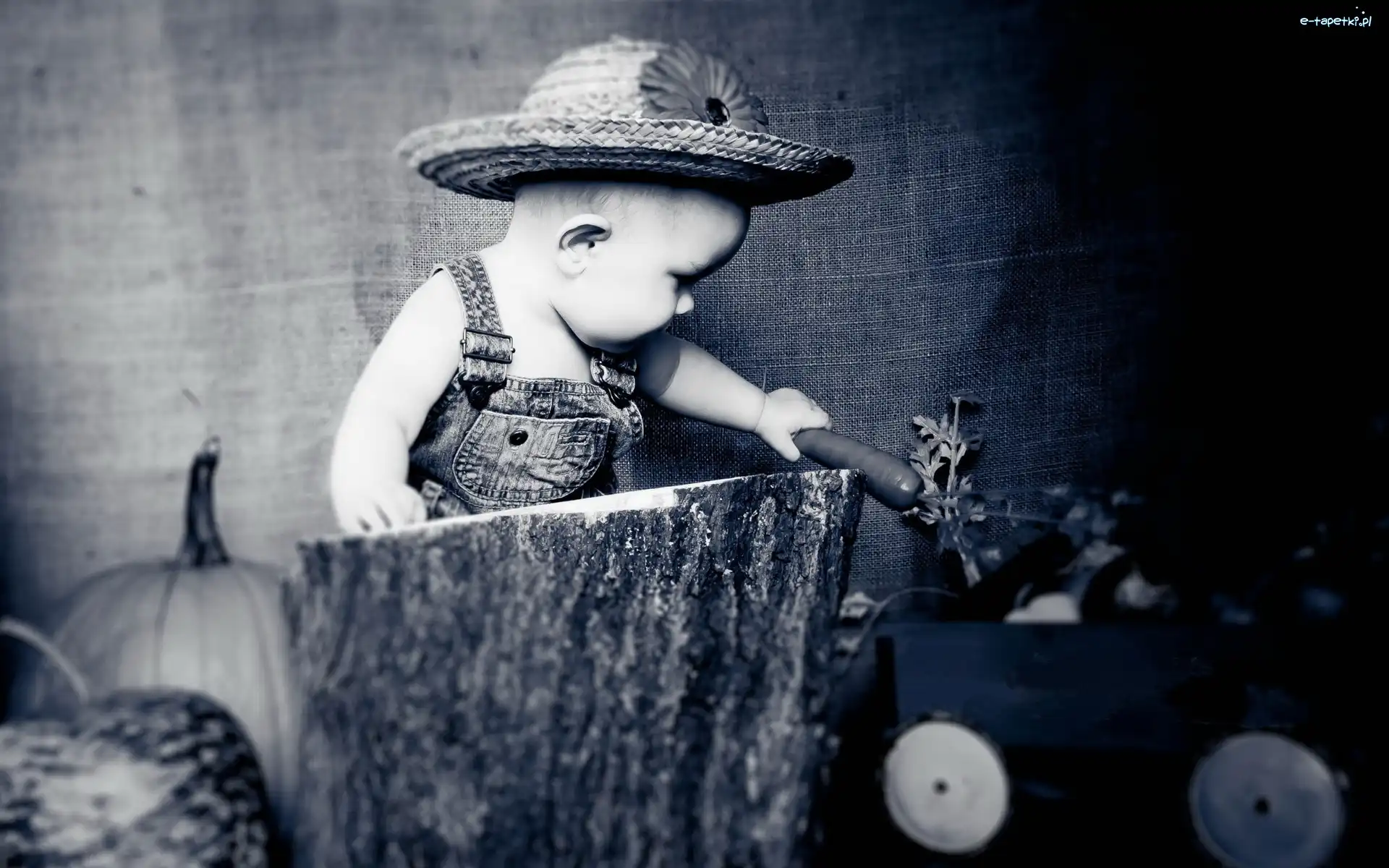 Chłopiec, Czarno-Białe, Farmer, Dziecko