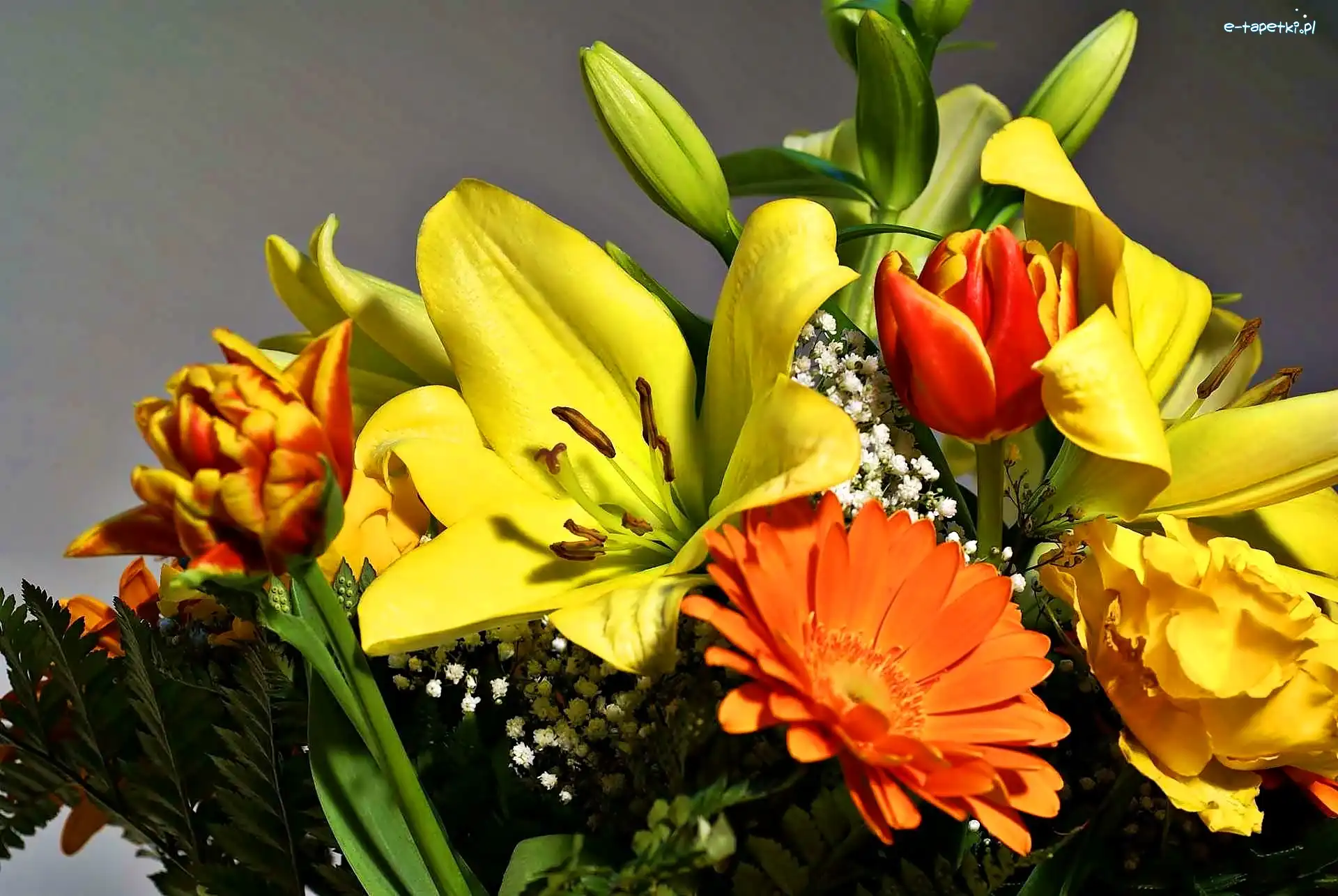 Bukiet, Lilie, Kwiatów, Gerbery, Tulipany