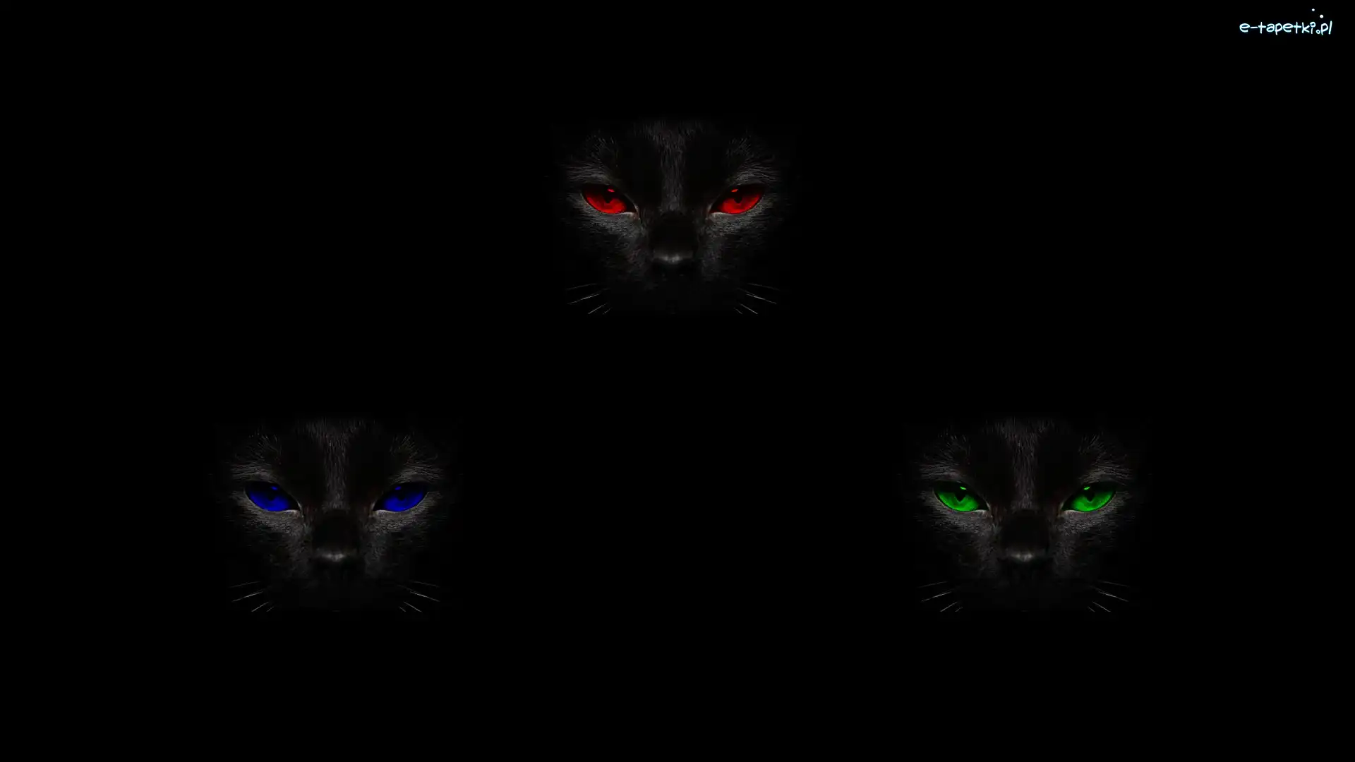 Oczy, Koty, Abstrakcja