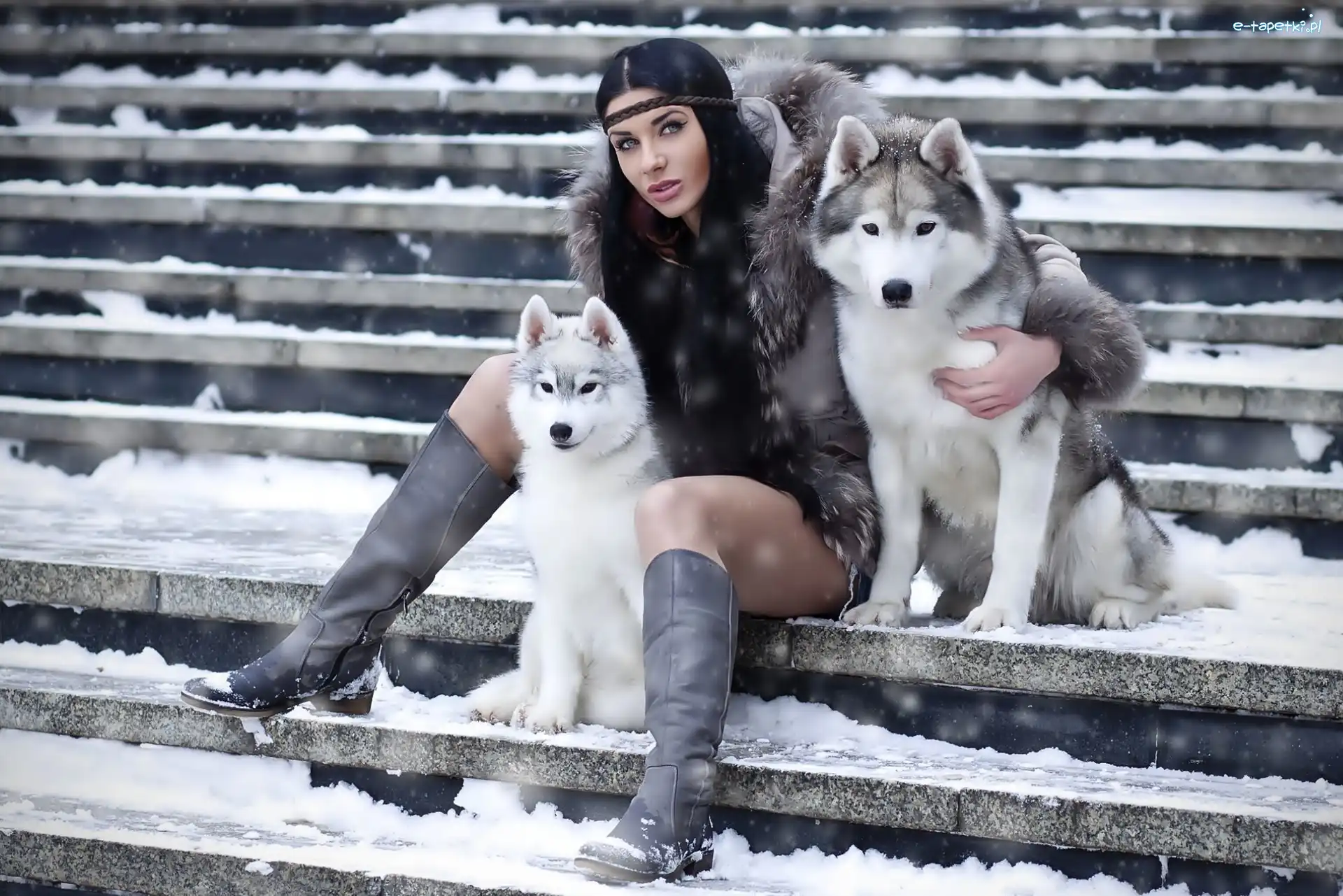 Dwa, Siberian Husky, Pieski, Kobieta