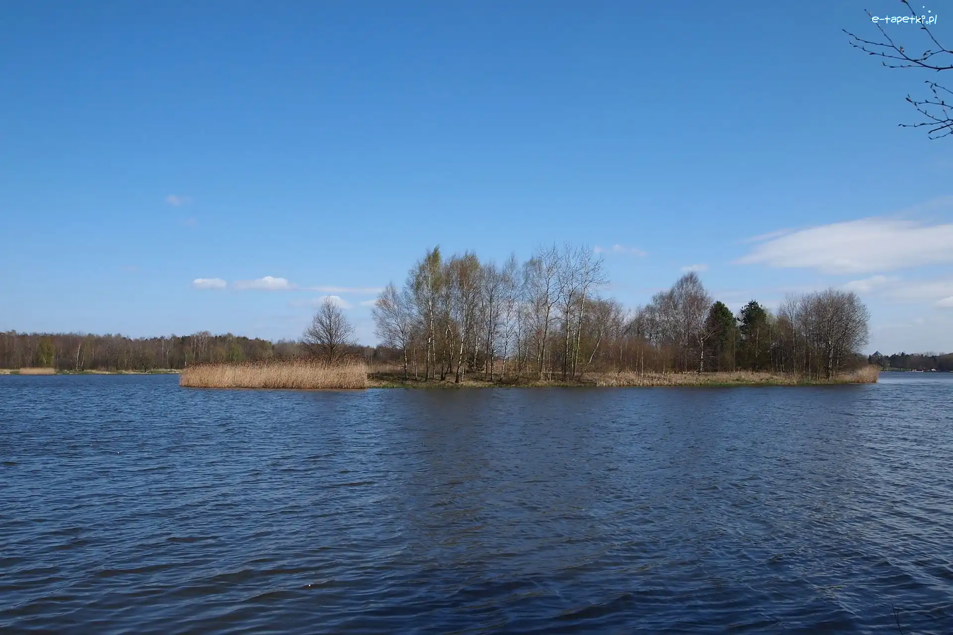 Jezioro, Wyspa